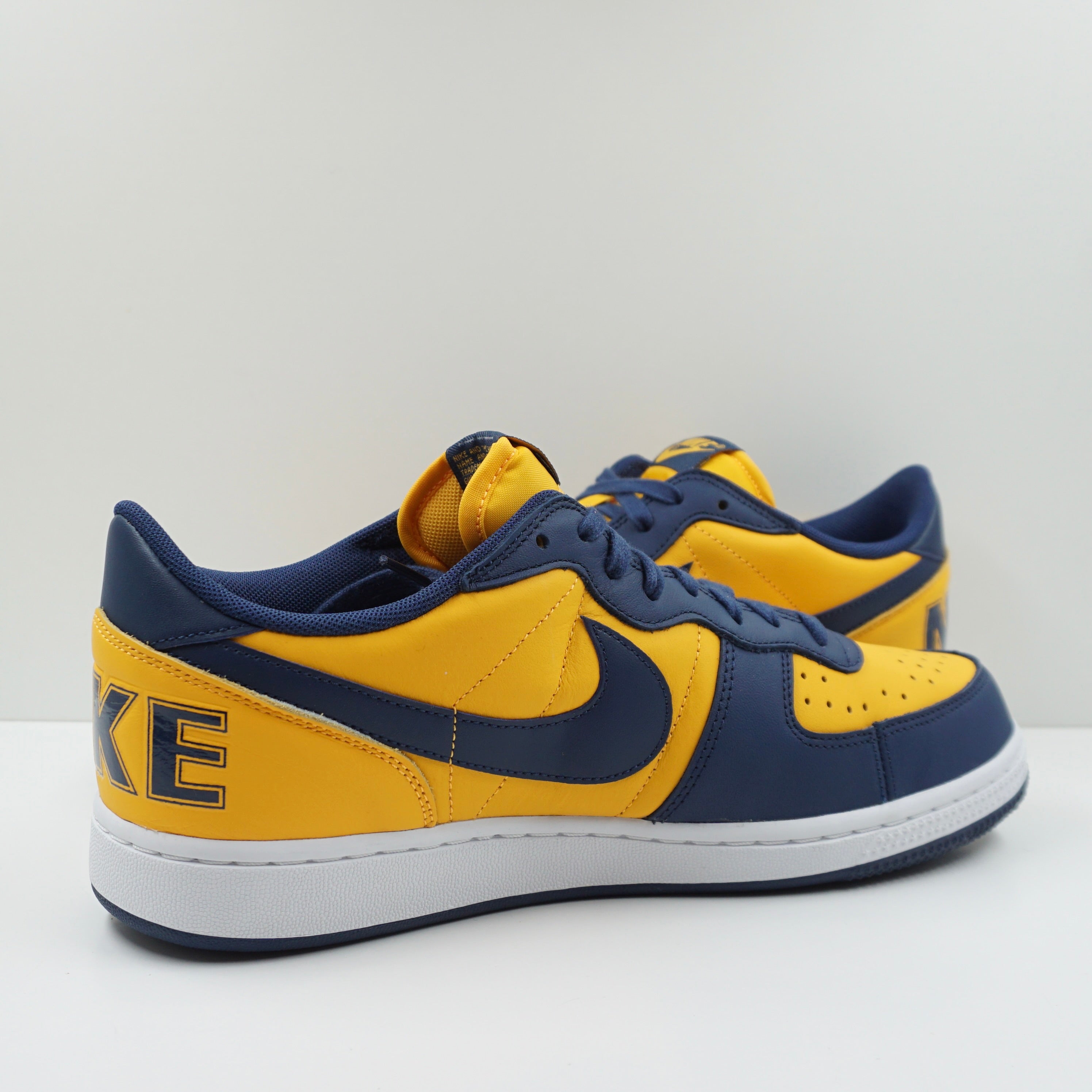 Nike Terminator Low Michigan