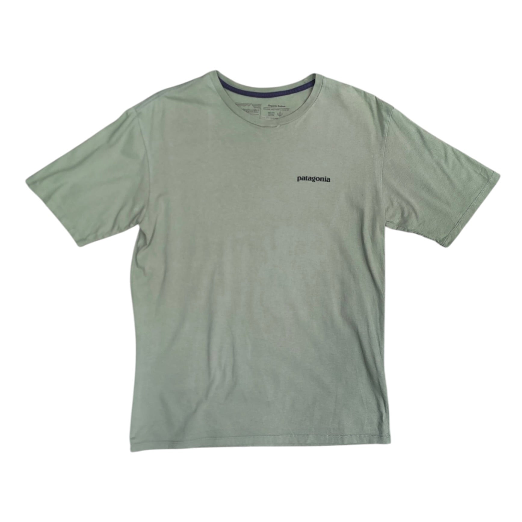 Patagonia Fitz Roy Green Tshirt