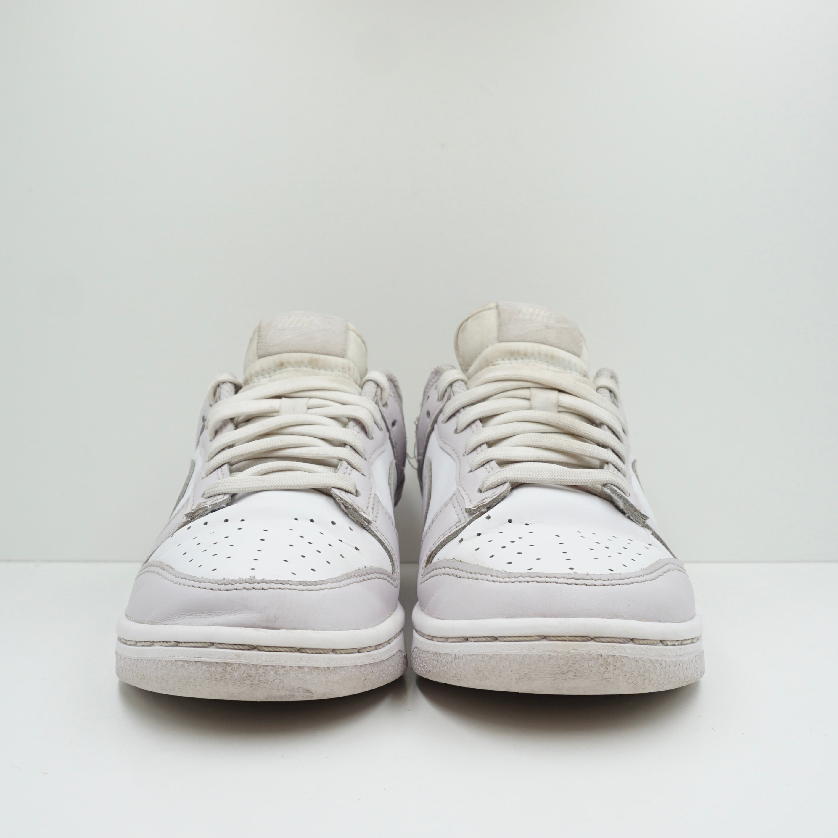 Nike Dunk Low Venice (W)