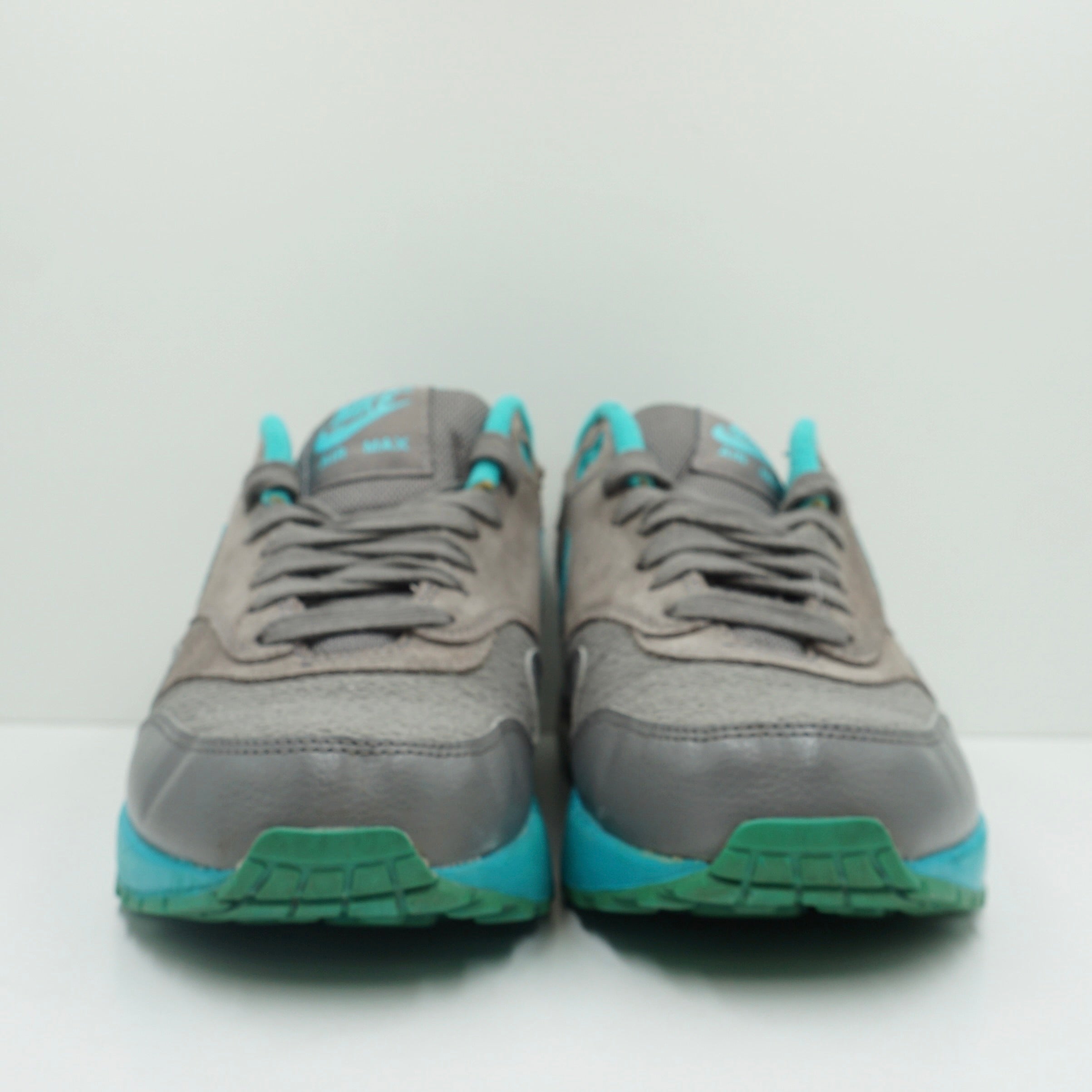 Nike Air Max 1 Light Ash (W)