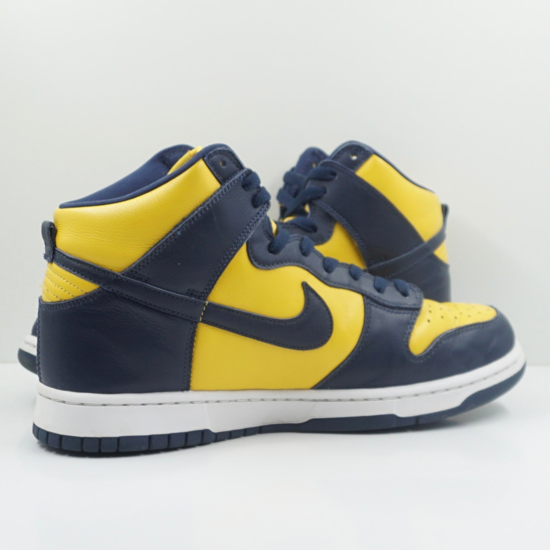 Nike Dunk High Michigan (2020)
