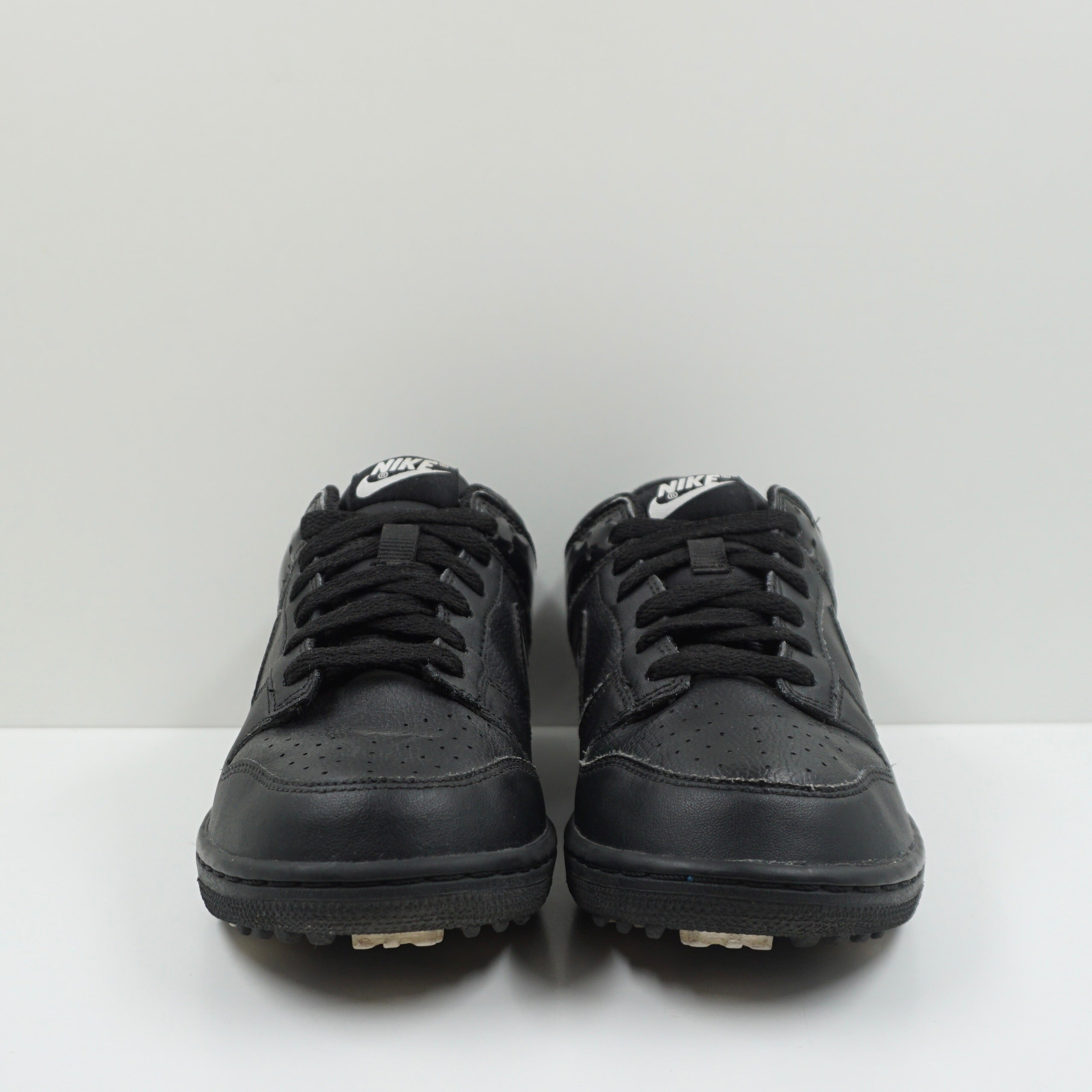Nike Dunk NG Golf (GS)