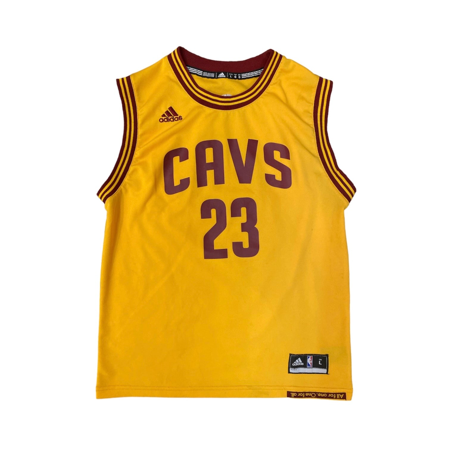 Adidas Cleveland Cavaliers Lebron Alternate Basketball Jersey (Youth)