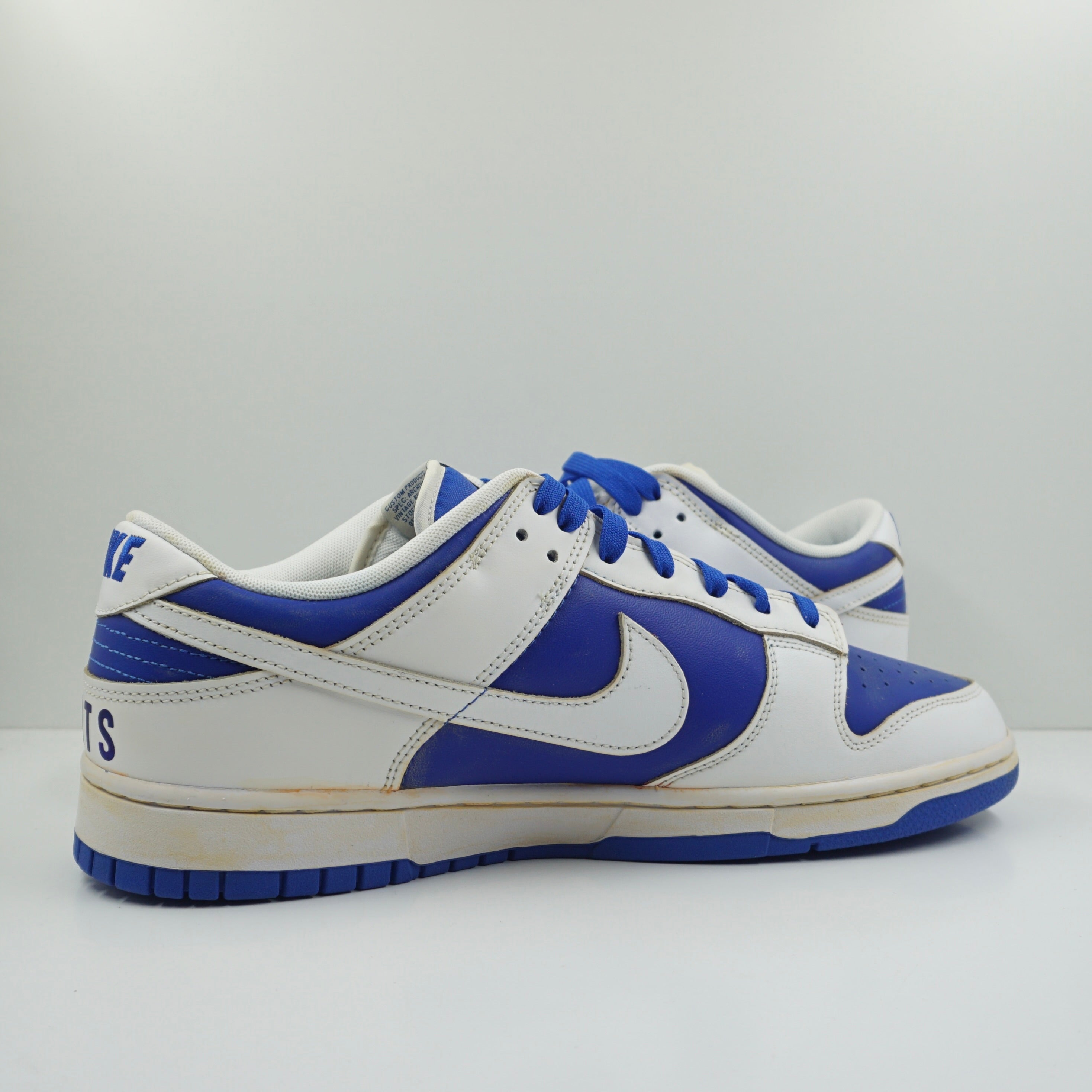 Nike Dunk Low Racer Blue White "CATS" Custom Painted