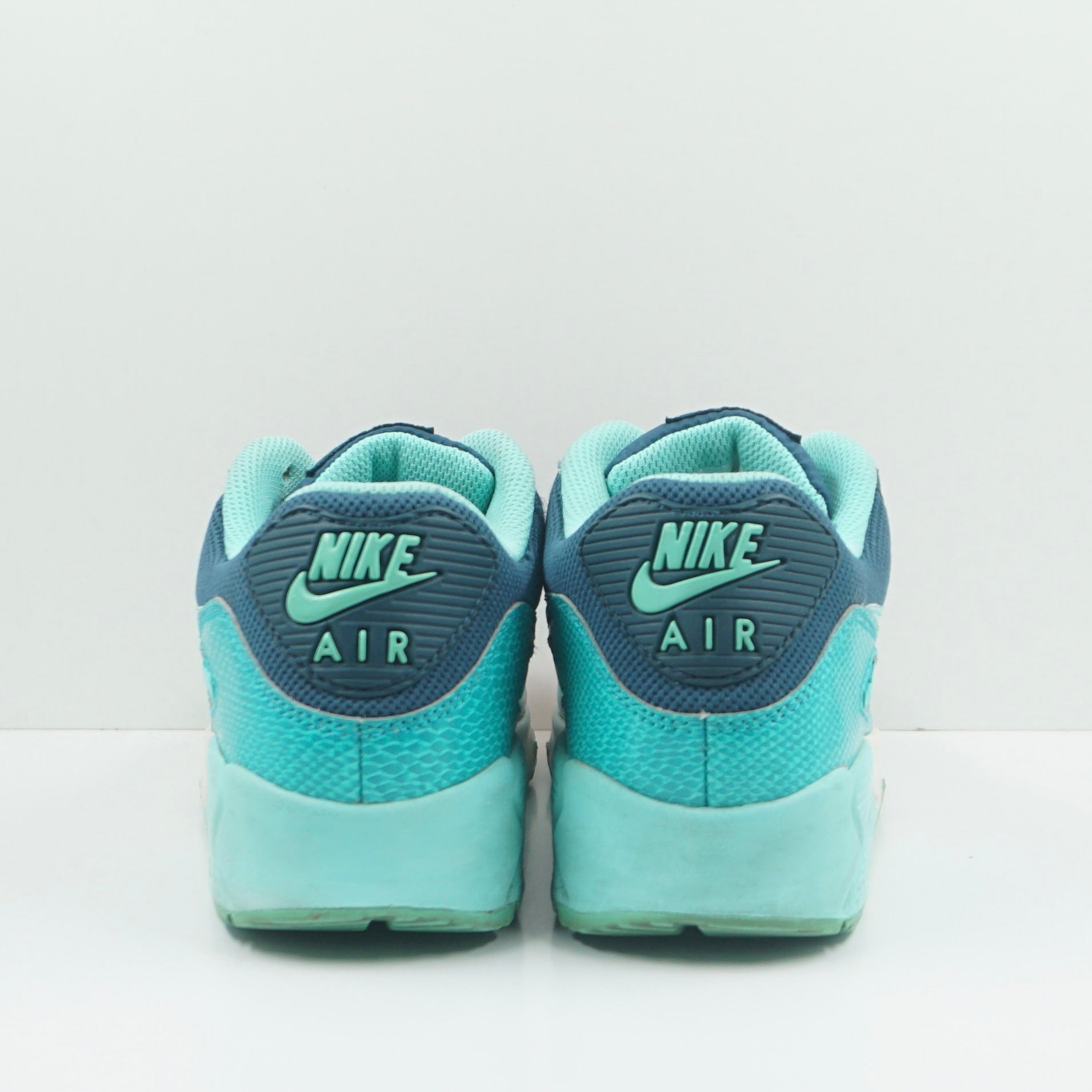 Nike Air Max 90 Space Blue Dusty Cactus (W)