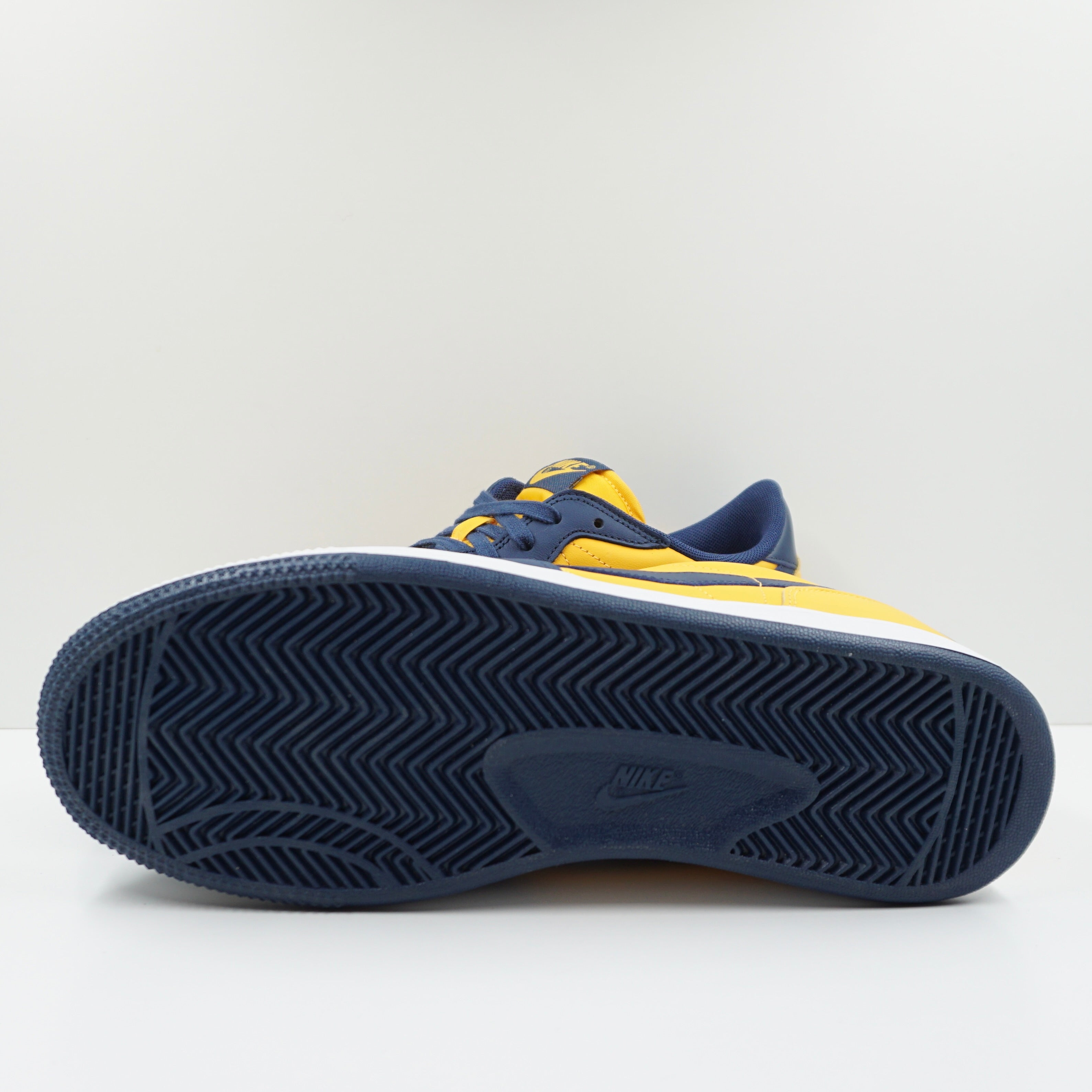 Nike Terminator Low Michigan