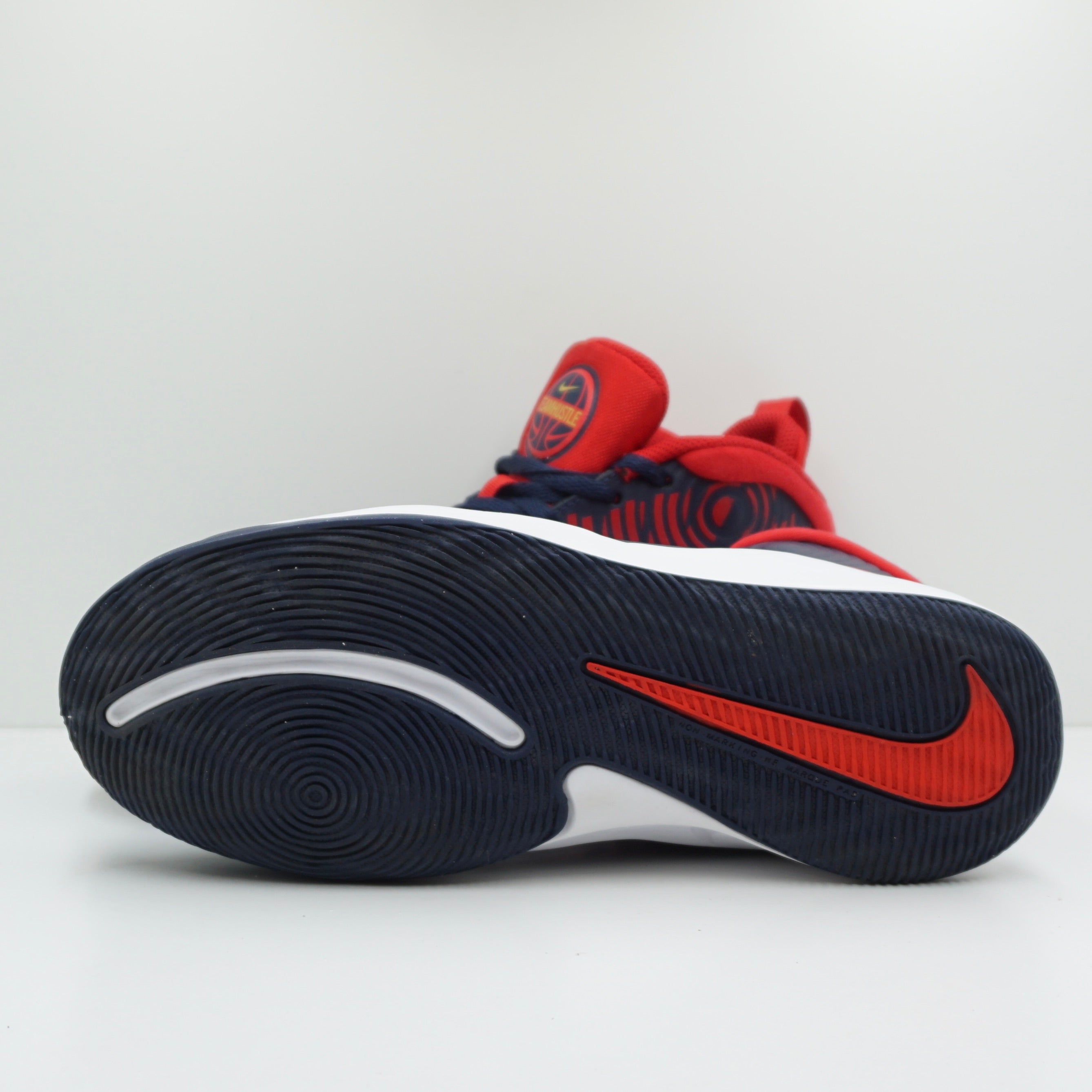 Nike Team Hustle D 9 (GS)
