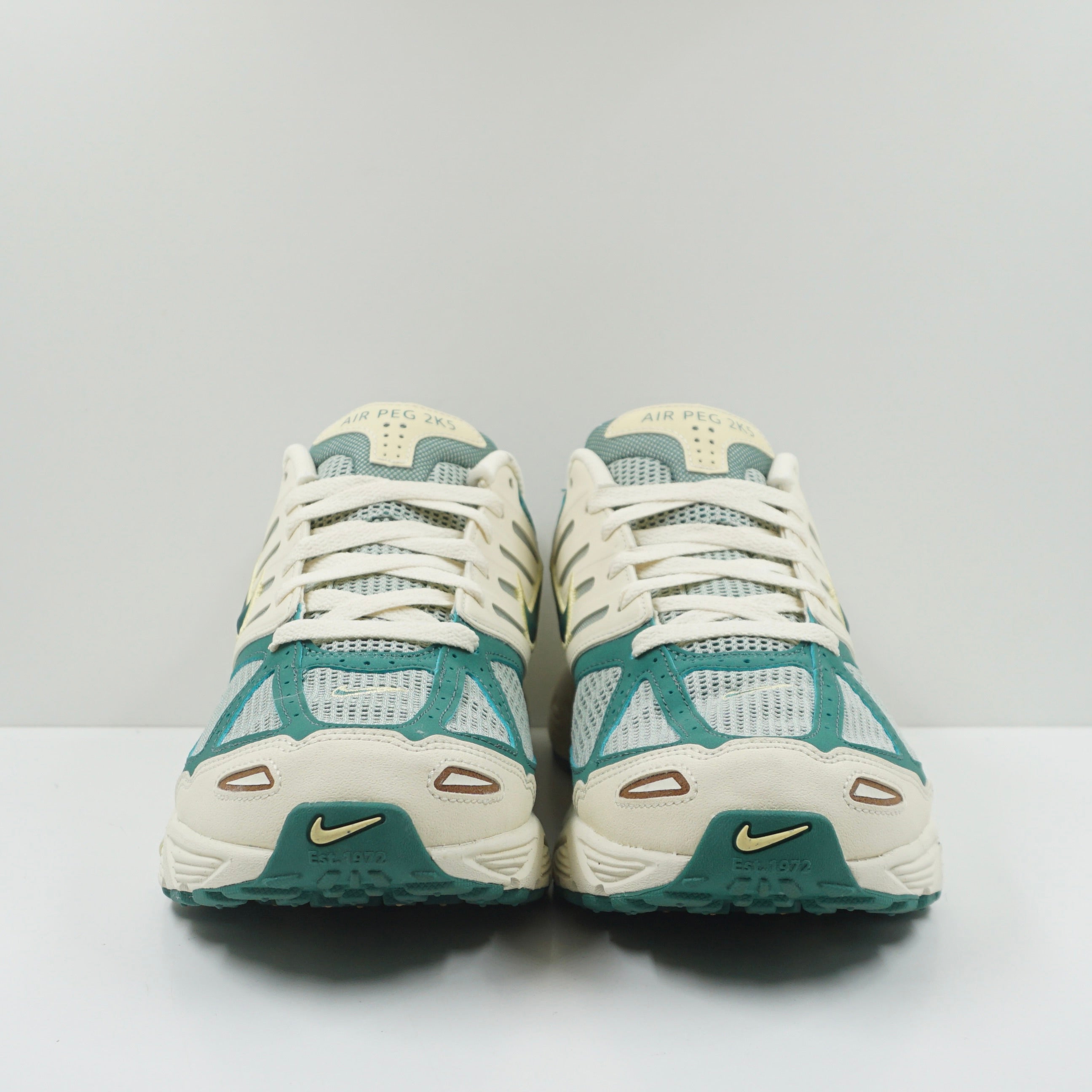 Nike Air Peg 2K5 Bicoastal