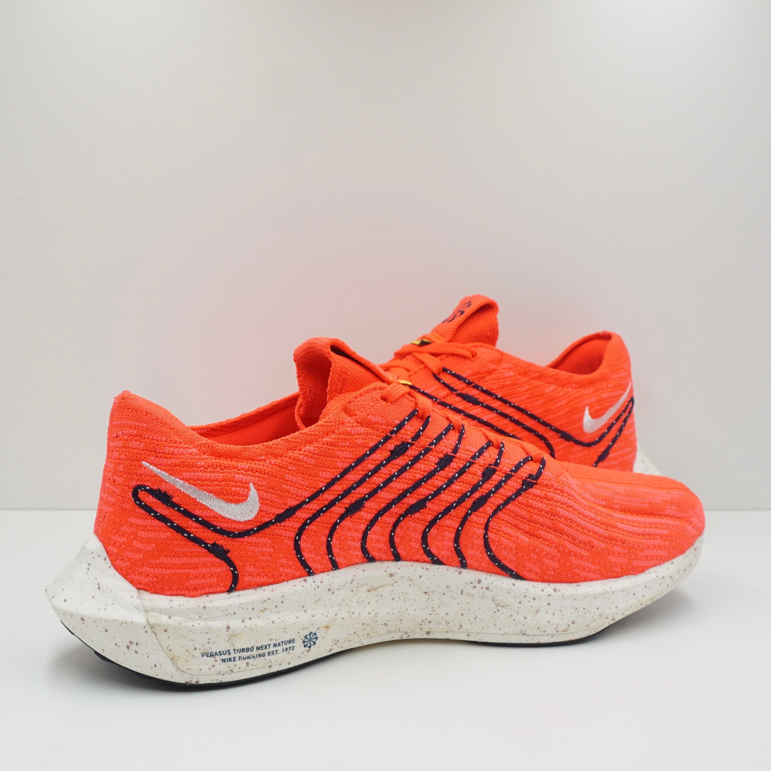 Nike Pegasus Turbo Infrared