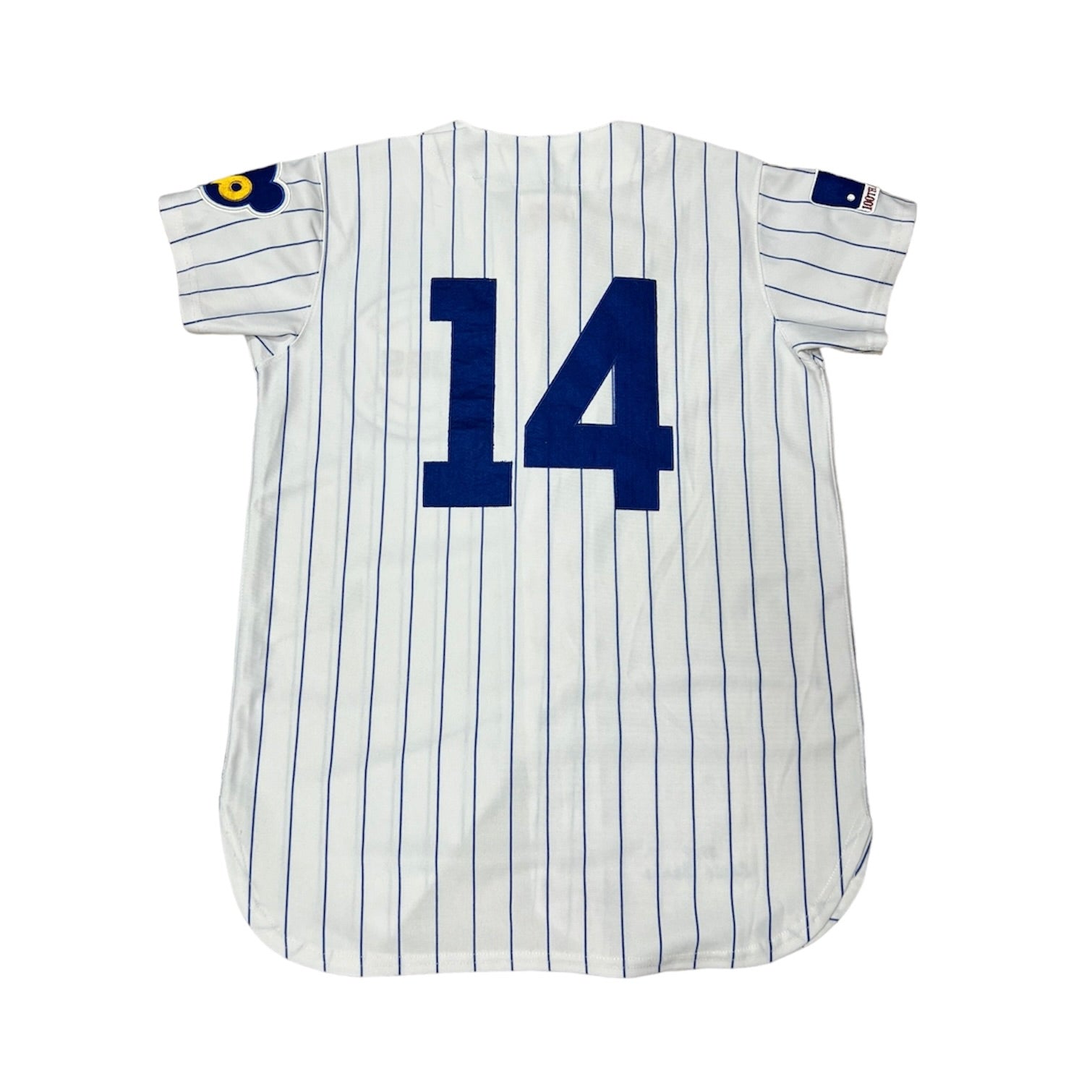 Mitchell & Ness Chicago Cubs Ernie Banks MLB Baseball Jersey