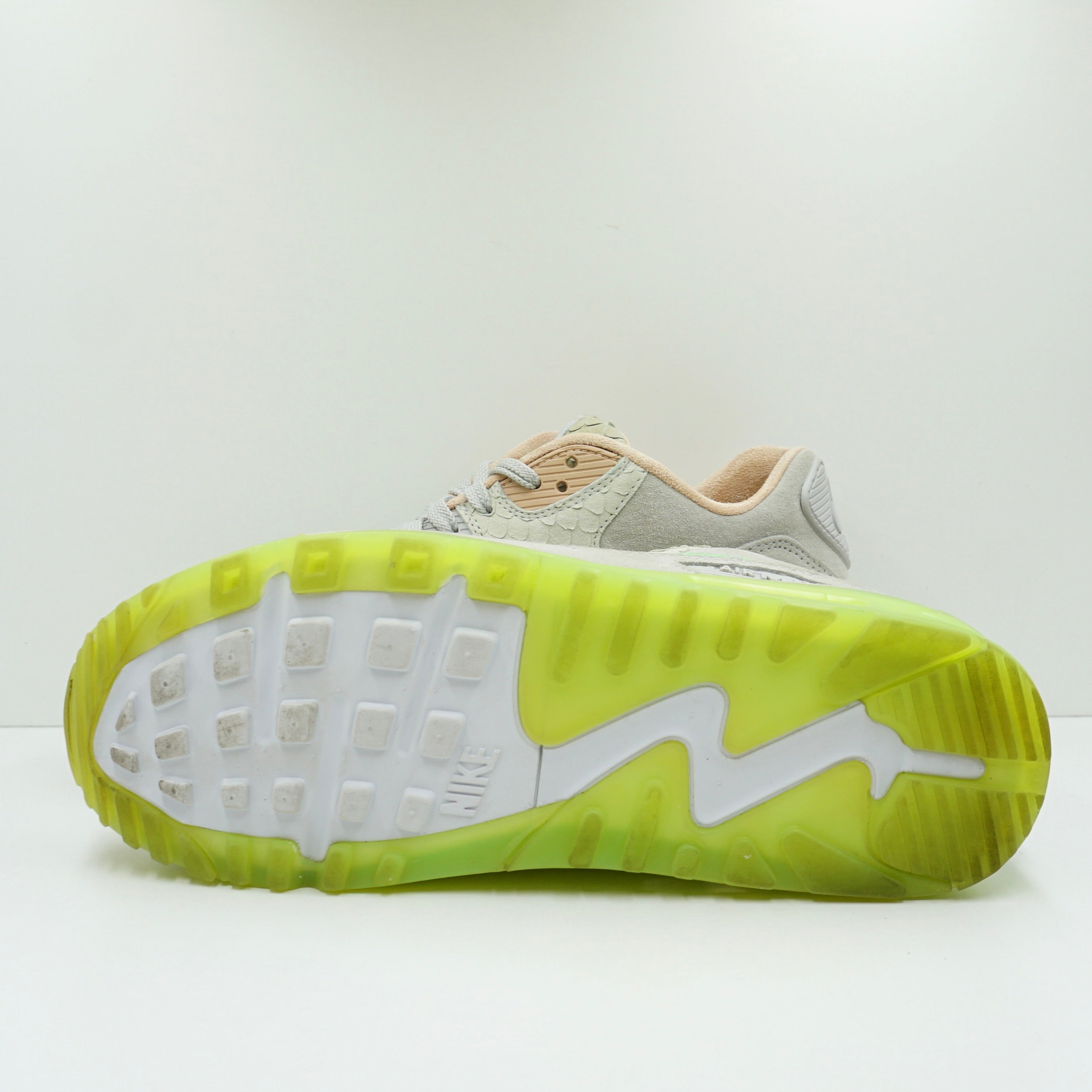 Nike Air Max 90 New Species