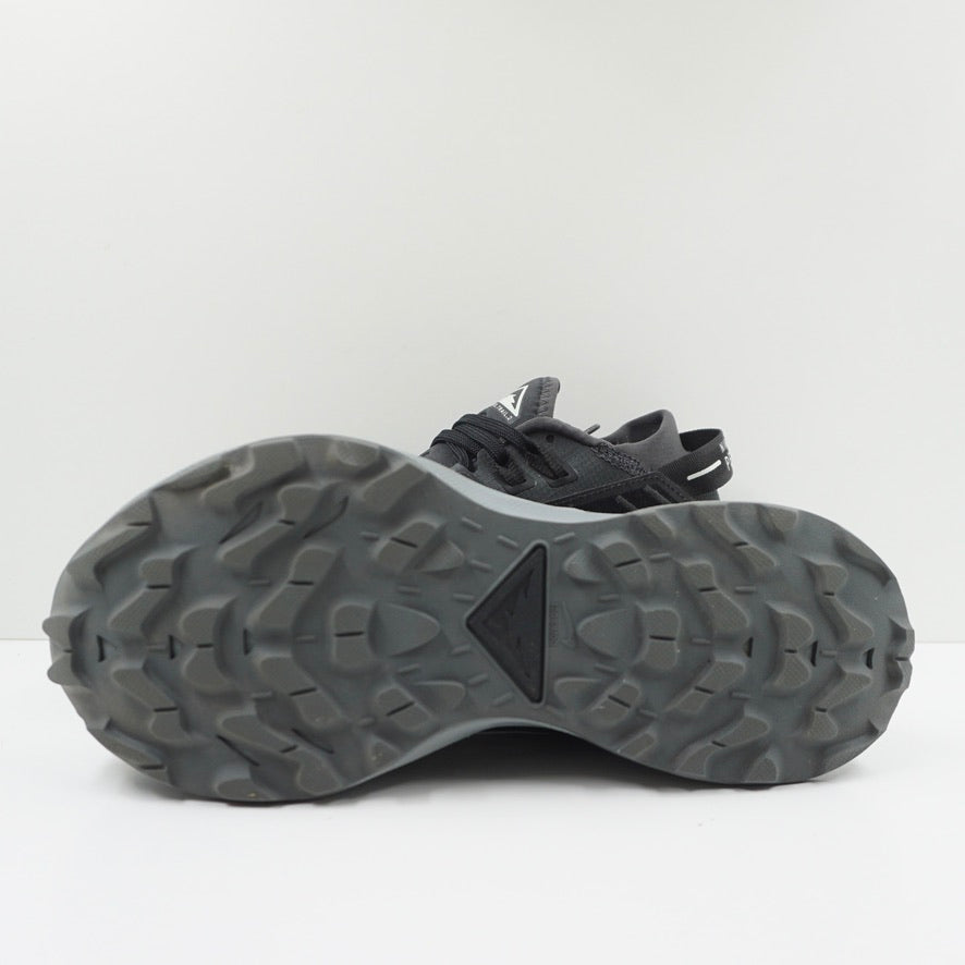 Nike Pegasus Trail 2 Dark Smoke Grey (W)