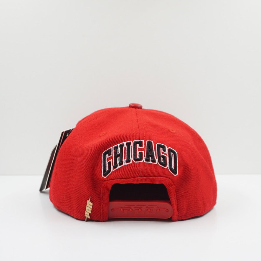 NBA Chicago Bulls Classic Logo Unisex Snapback Cap