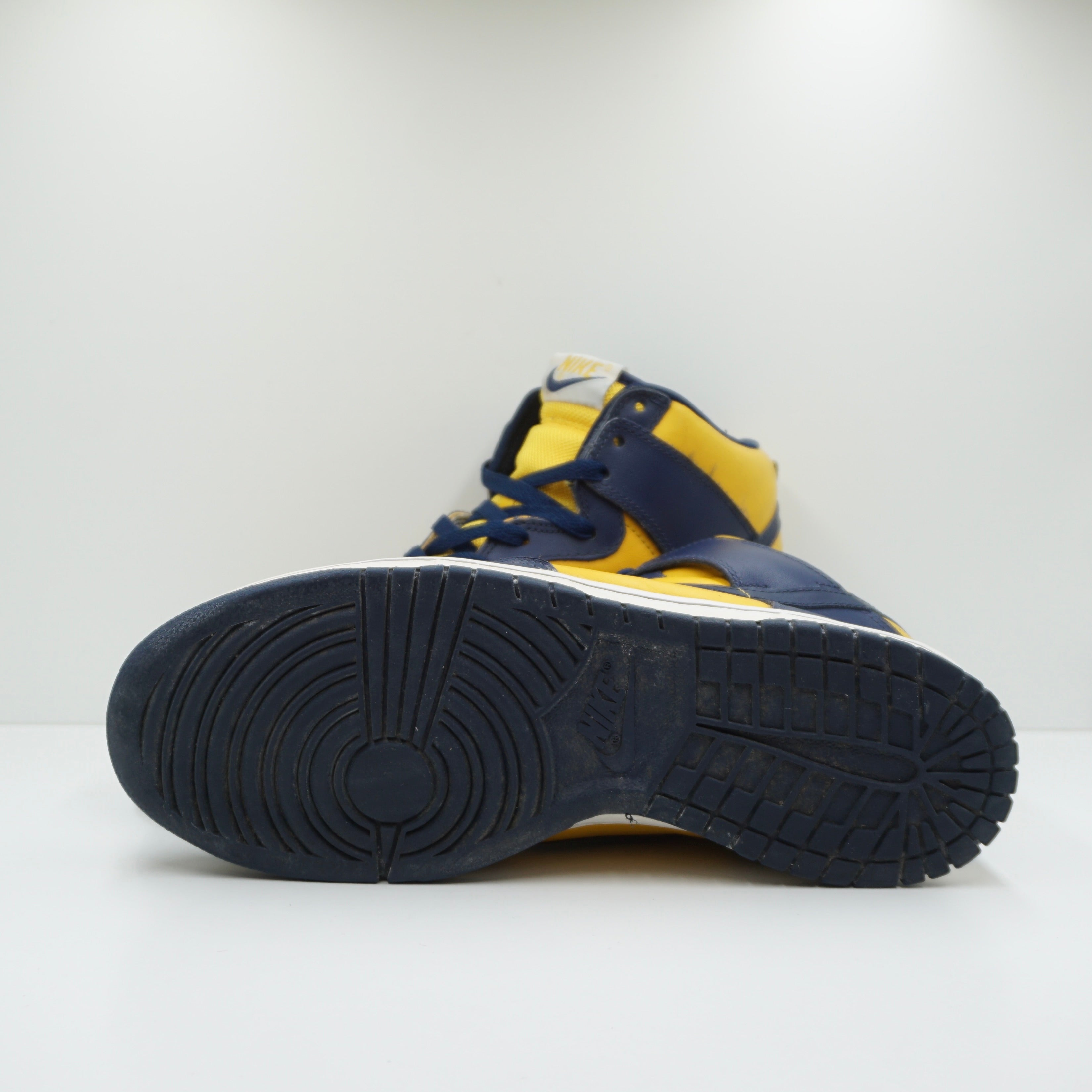 Nike Dunk High Michigan (2003)