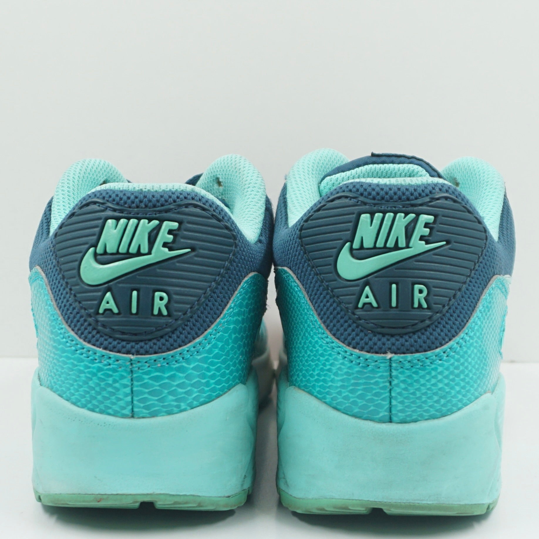 Nike Air Max 90 Space Blue Dusty Cactus (W)
