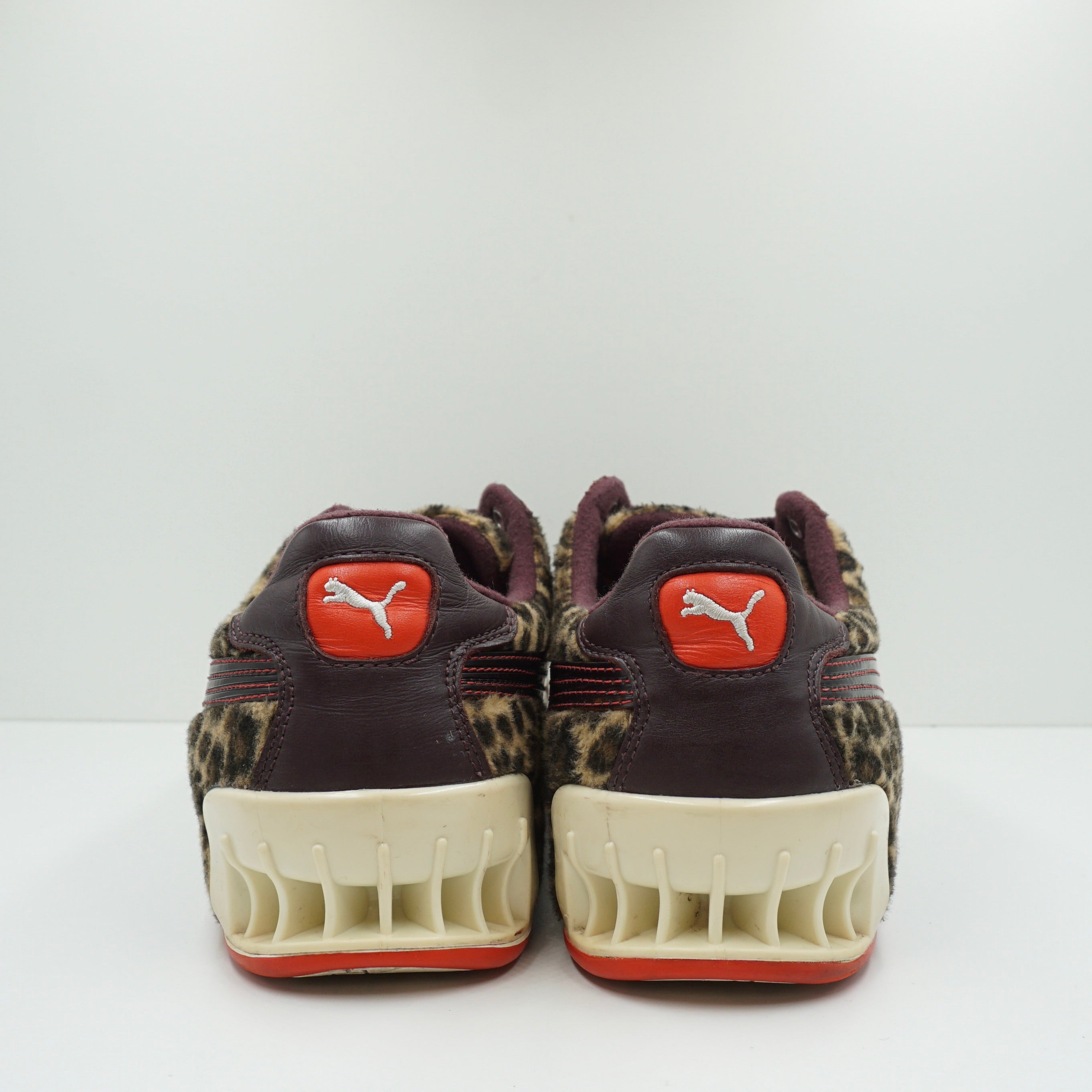 Puma Leopard