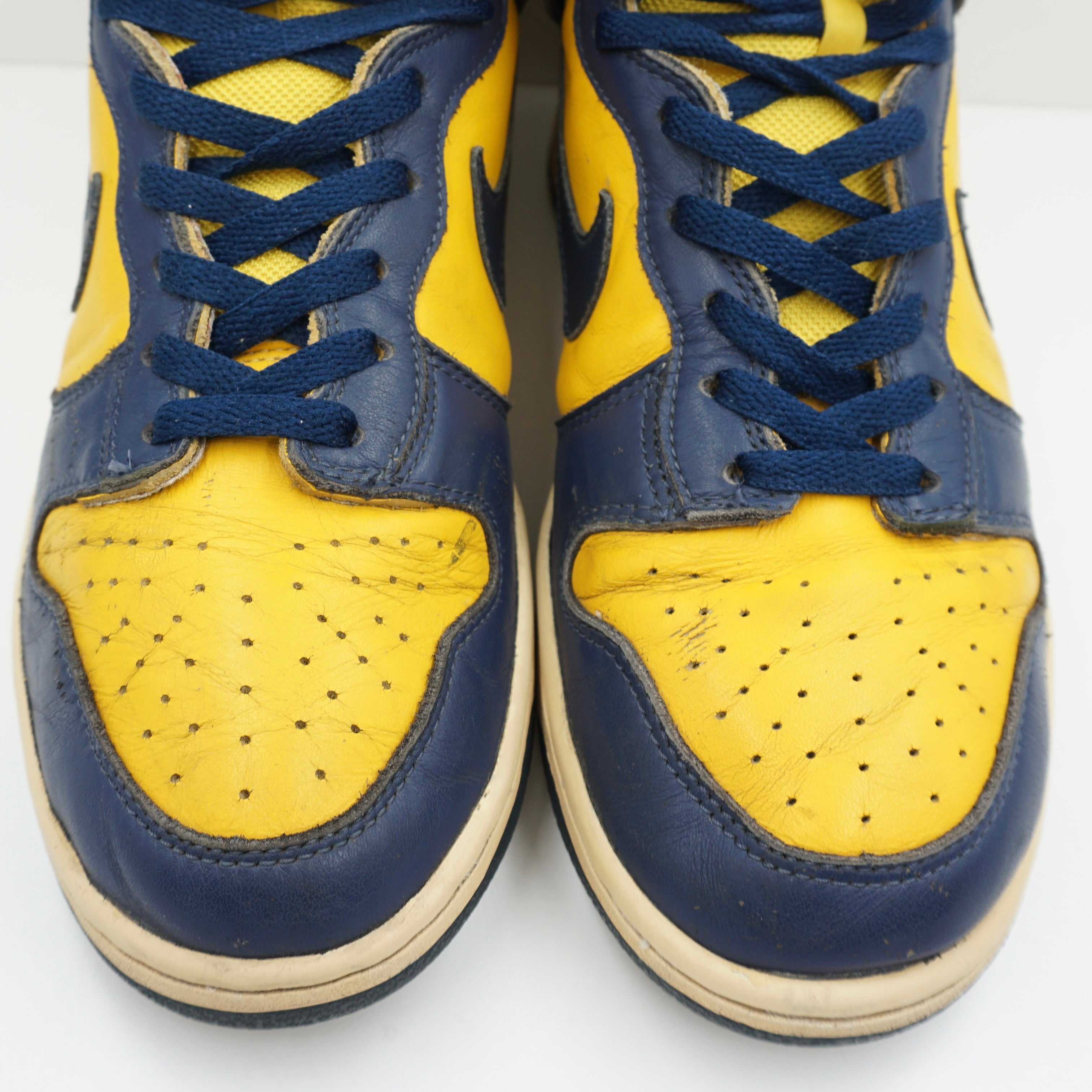 Nike Dunk High Michigan (2003)
