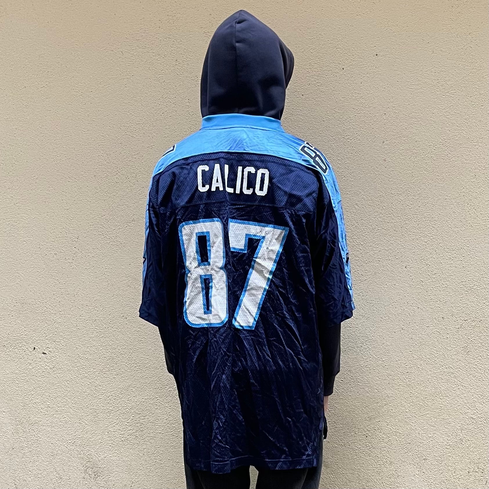 Reebok Tennessee Titans Calico #87 NFL Jersey
