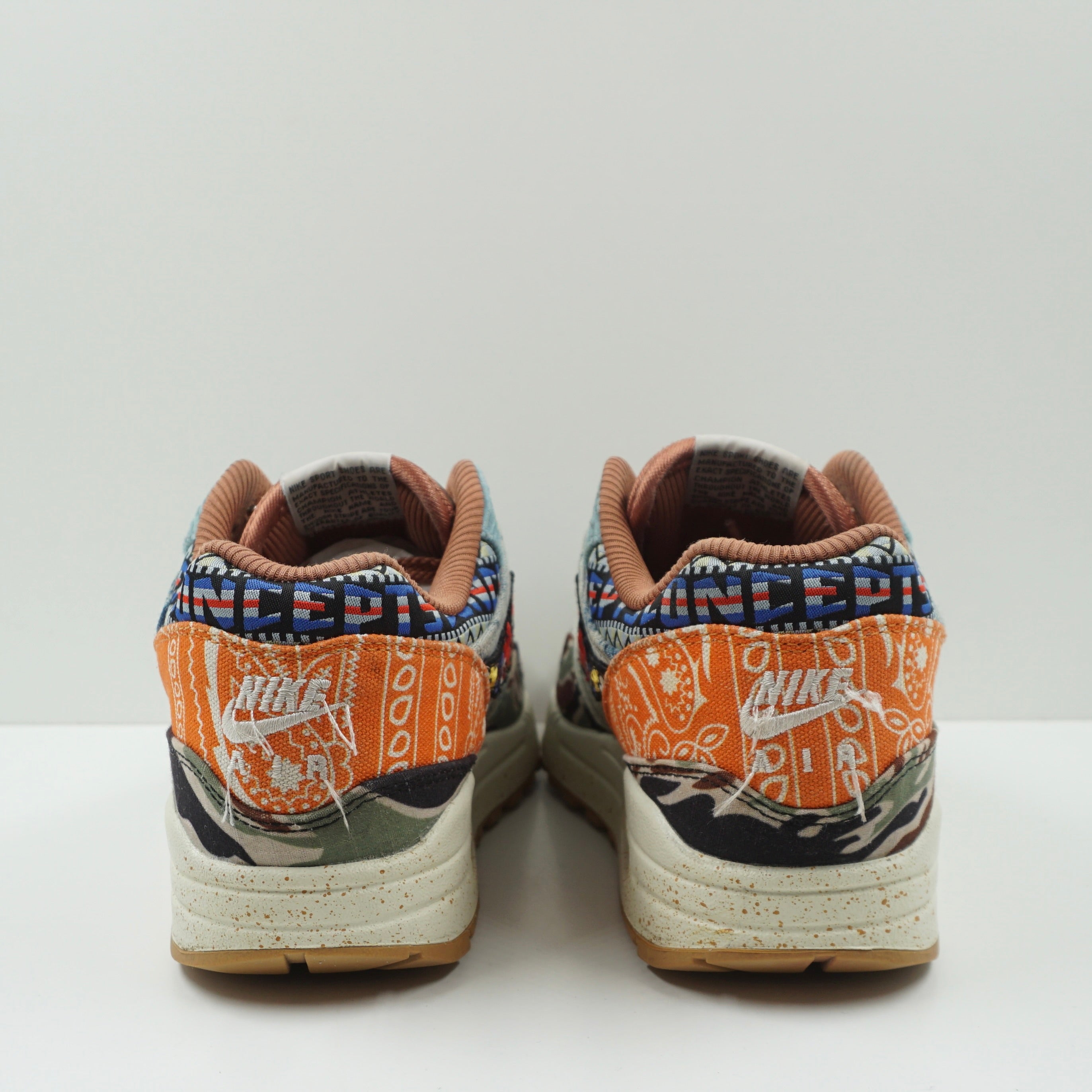 Nike Air Max 1 SP Concepts Heavy