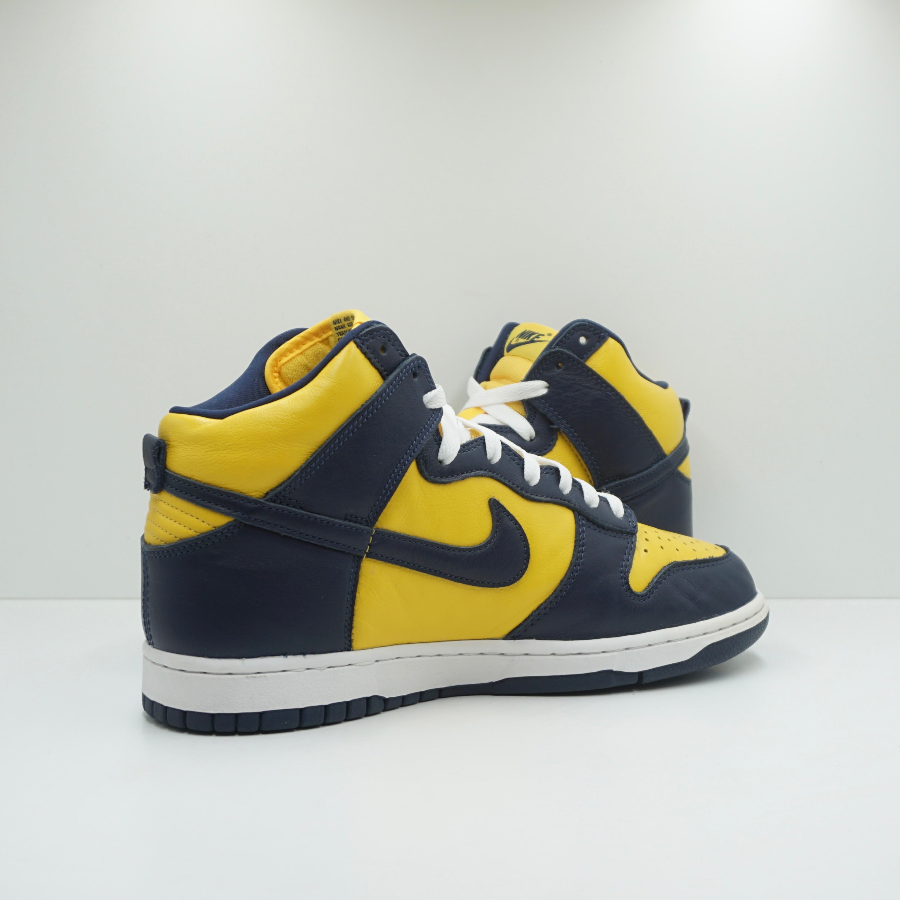 Nike Dunk High Michigan (2020)