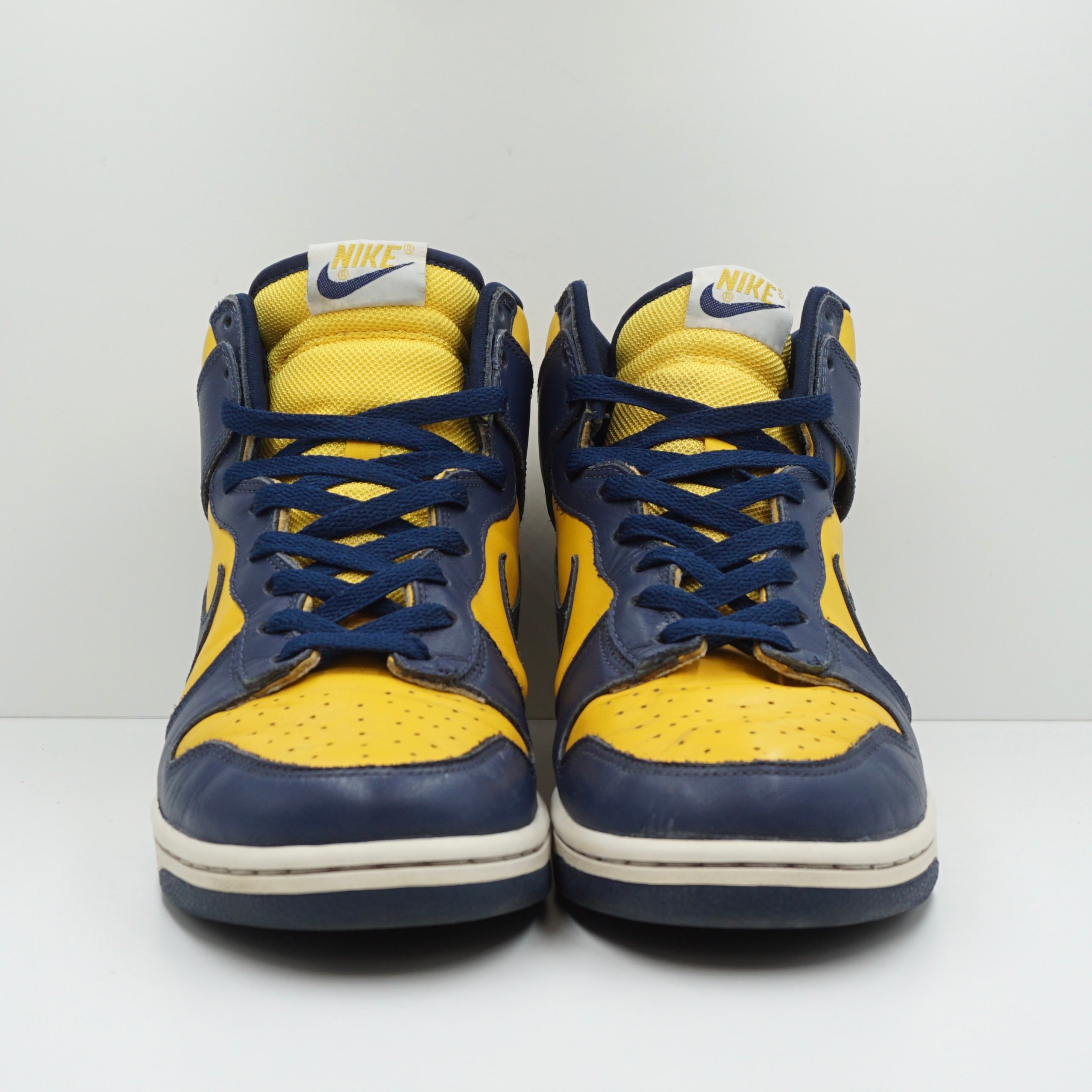 Nike Dunk High Michigan (2003)
