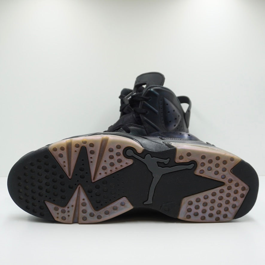 Jordan 6 Retro All Star Chameleon (2017)