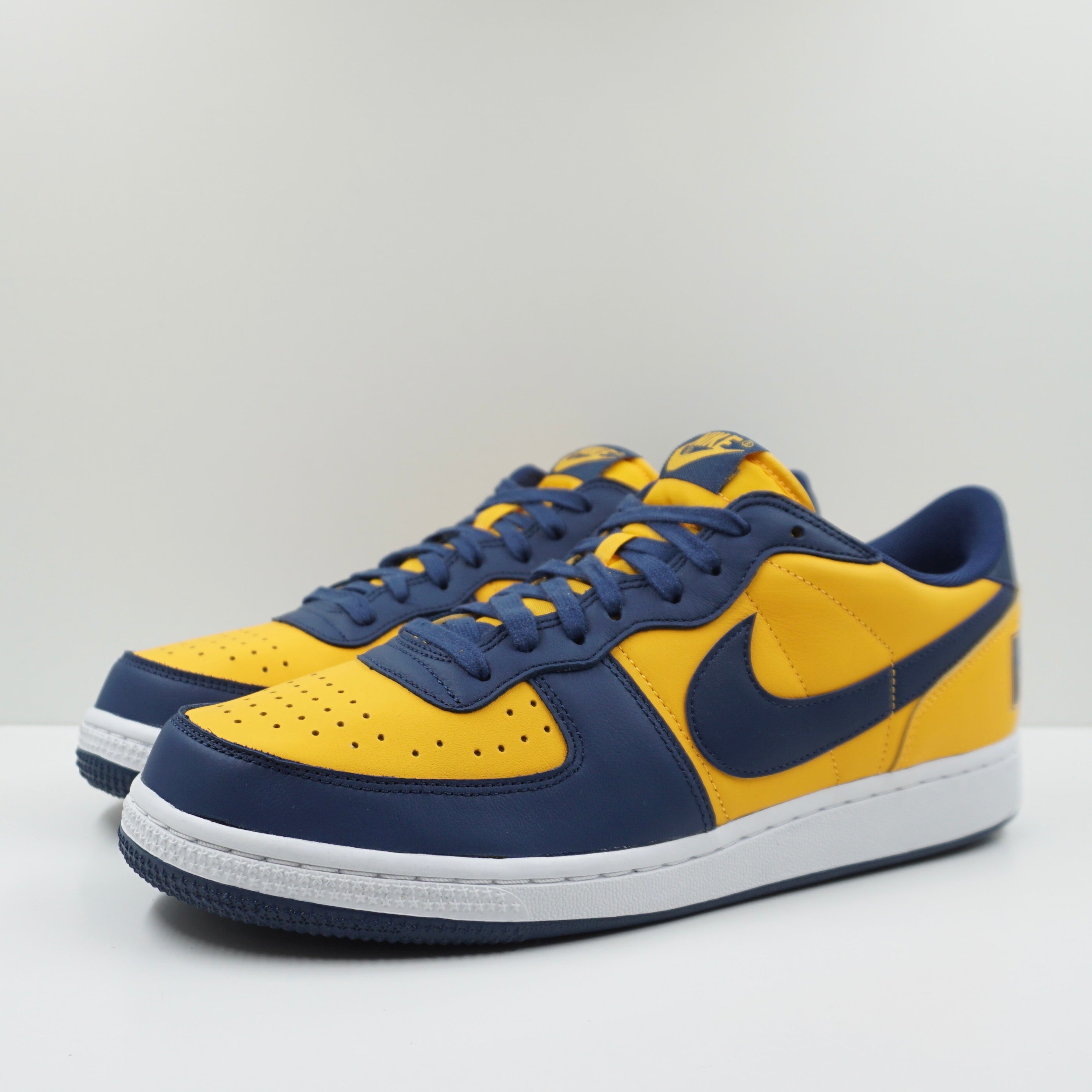 Nike Terminator Low Michigan