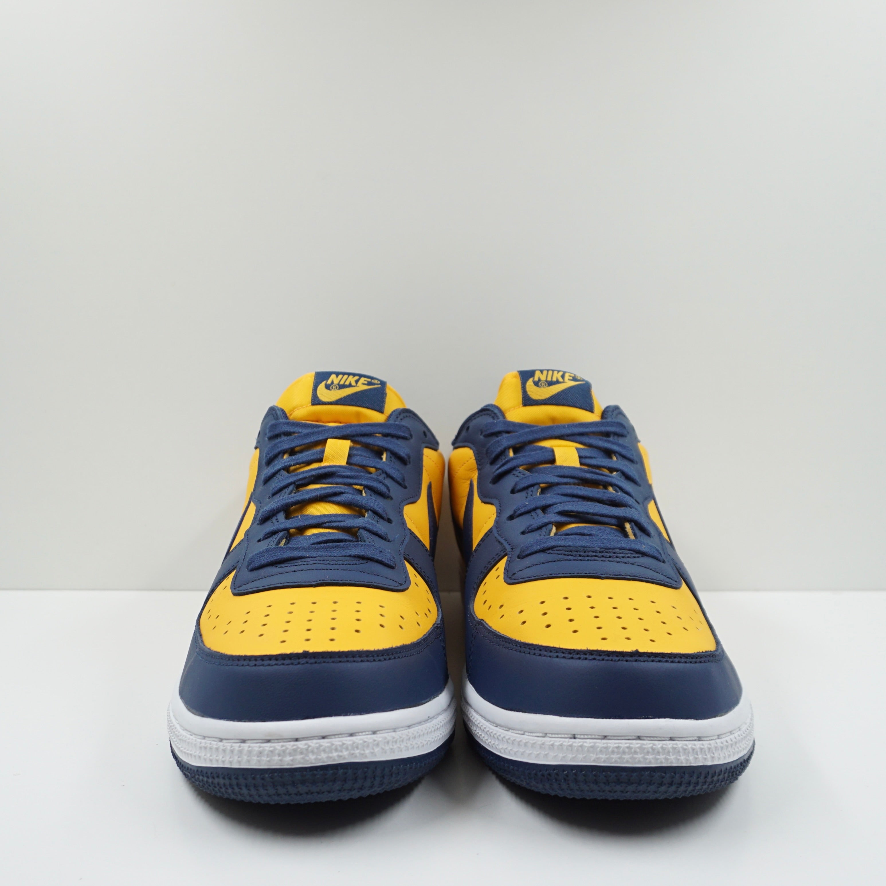 Nike Terminator Low Michigan