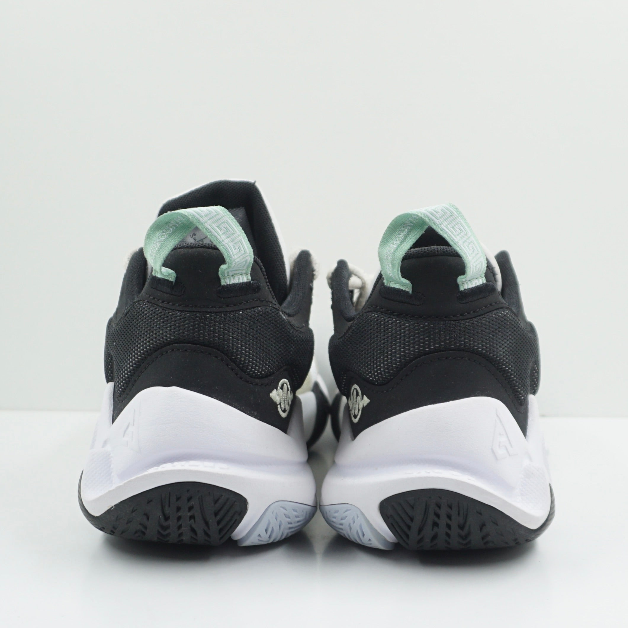 Nike Giannis Immortality 2 Victoria Falls