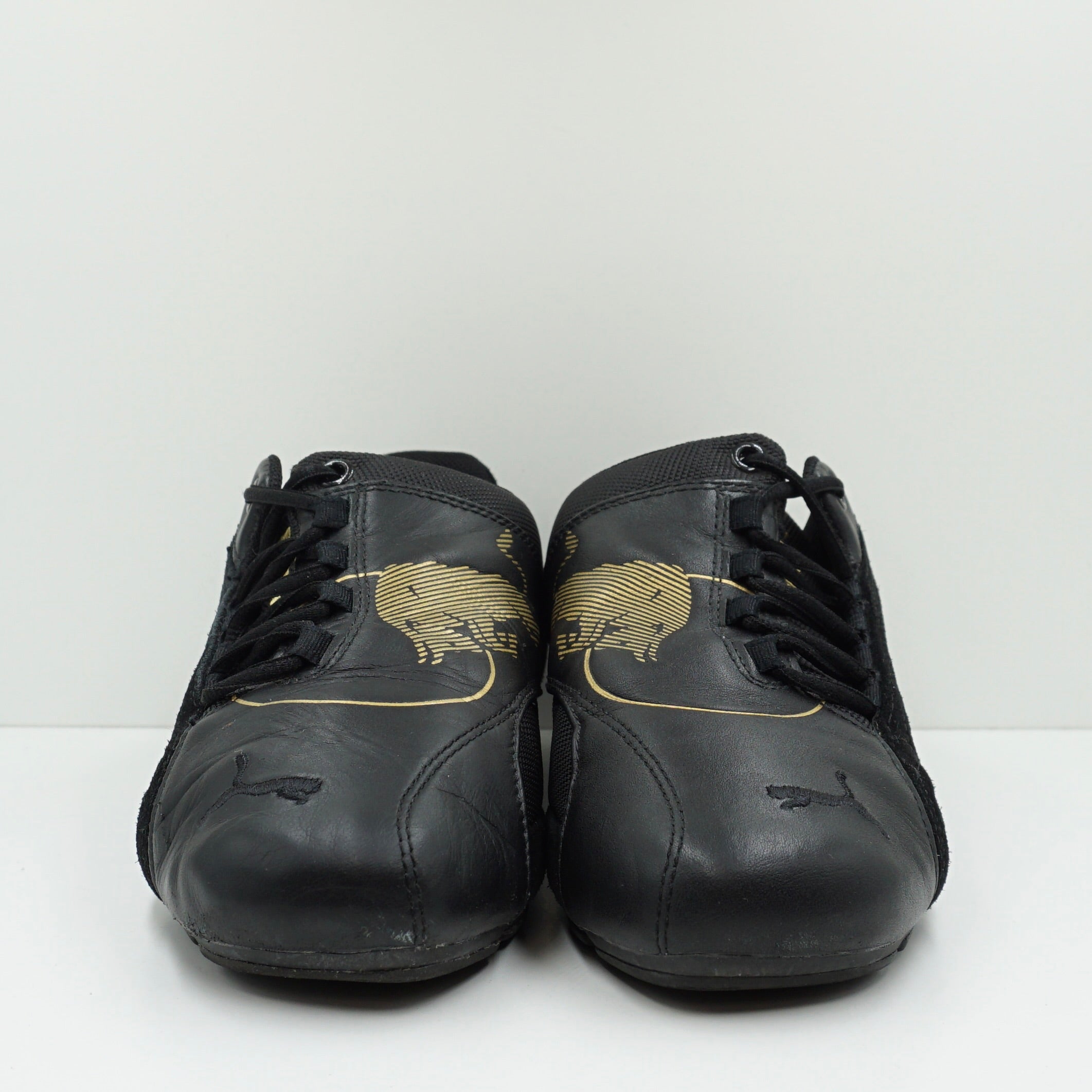 Puma Toro Rosso