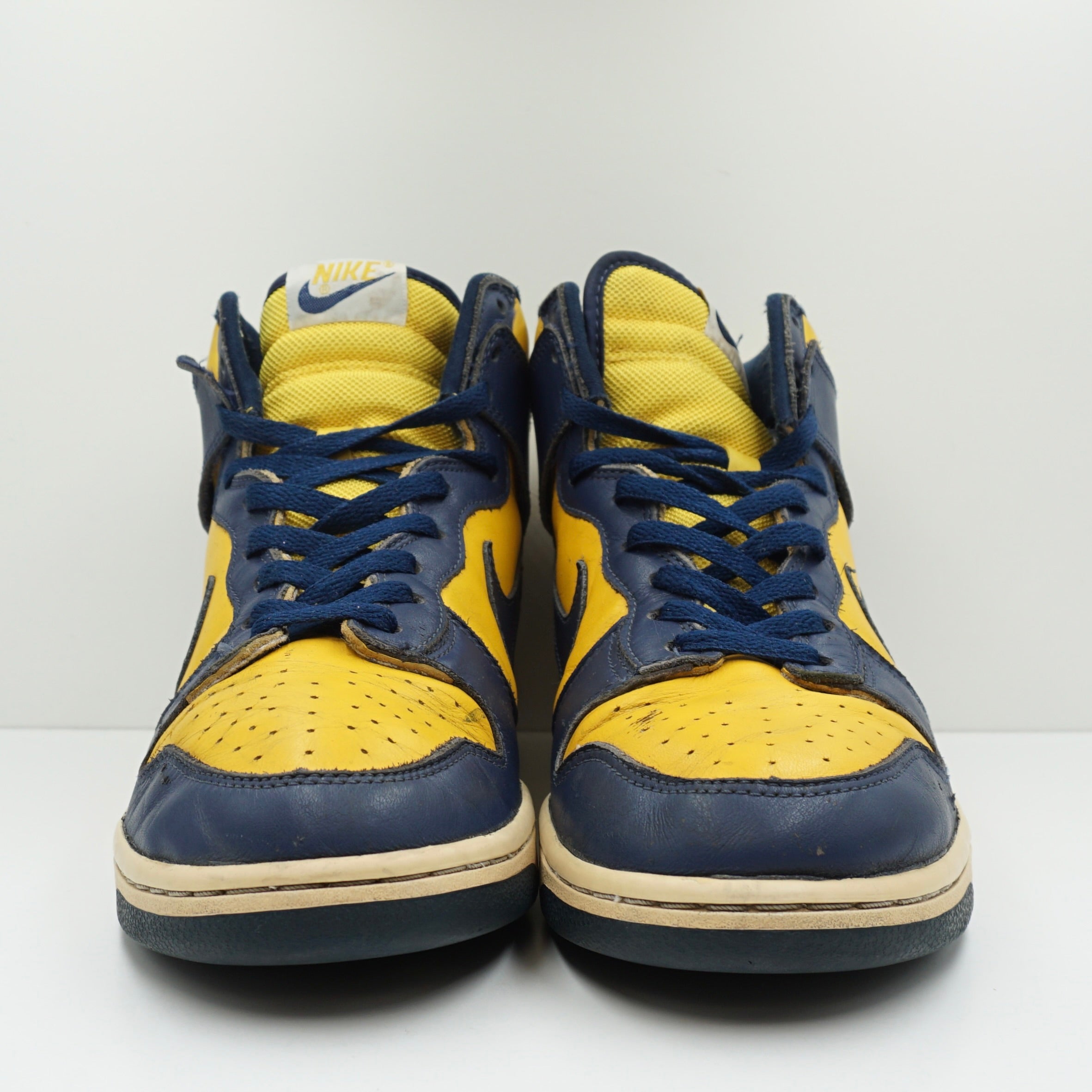 Nike Dunk High Michigan (2003)