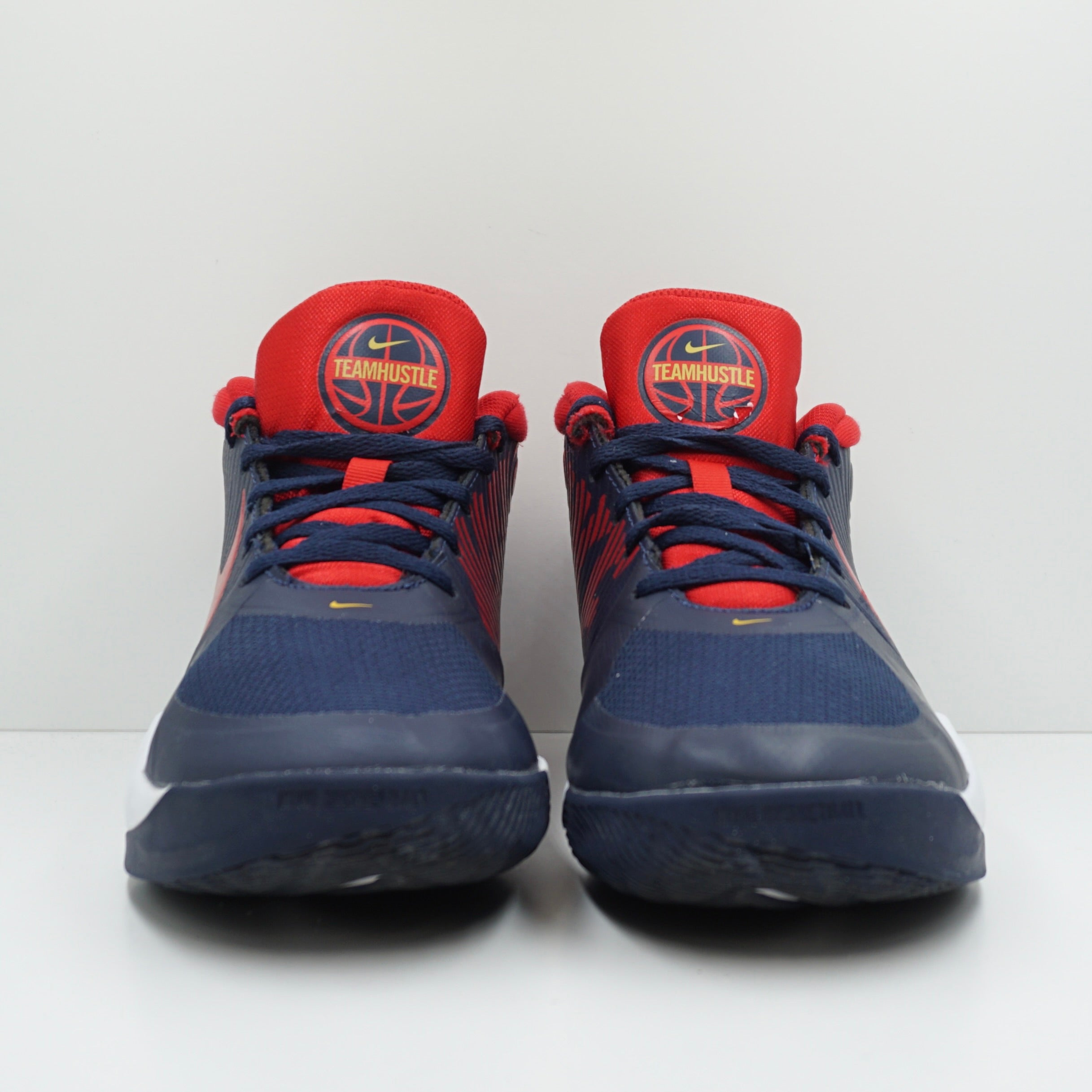 Nike Team Hustle D 9 (GS)