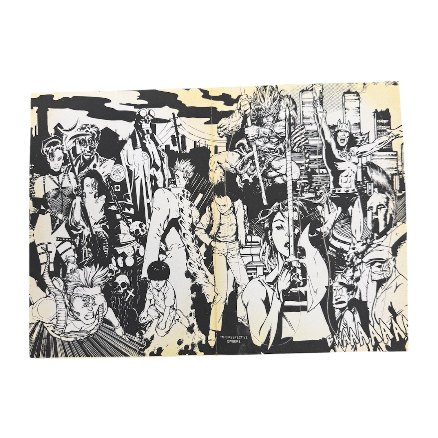 Adidas AdiColor Century Lo R 3 Dark Horse