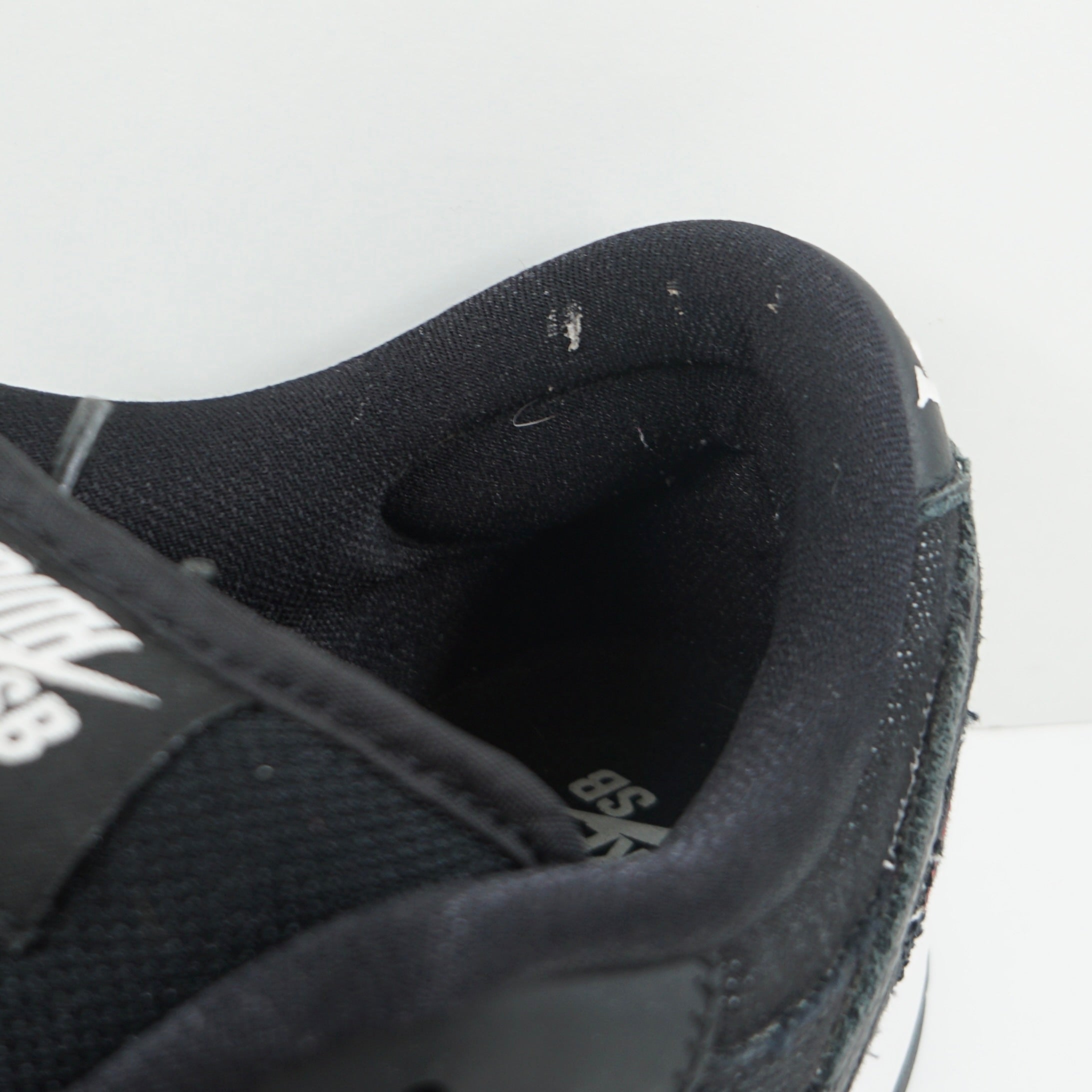 Nike SB Dunk Low Wasted Youth