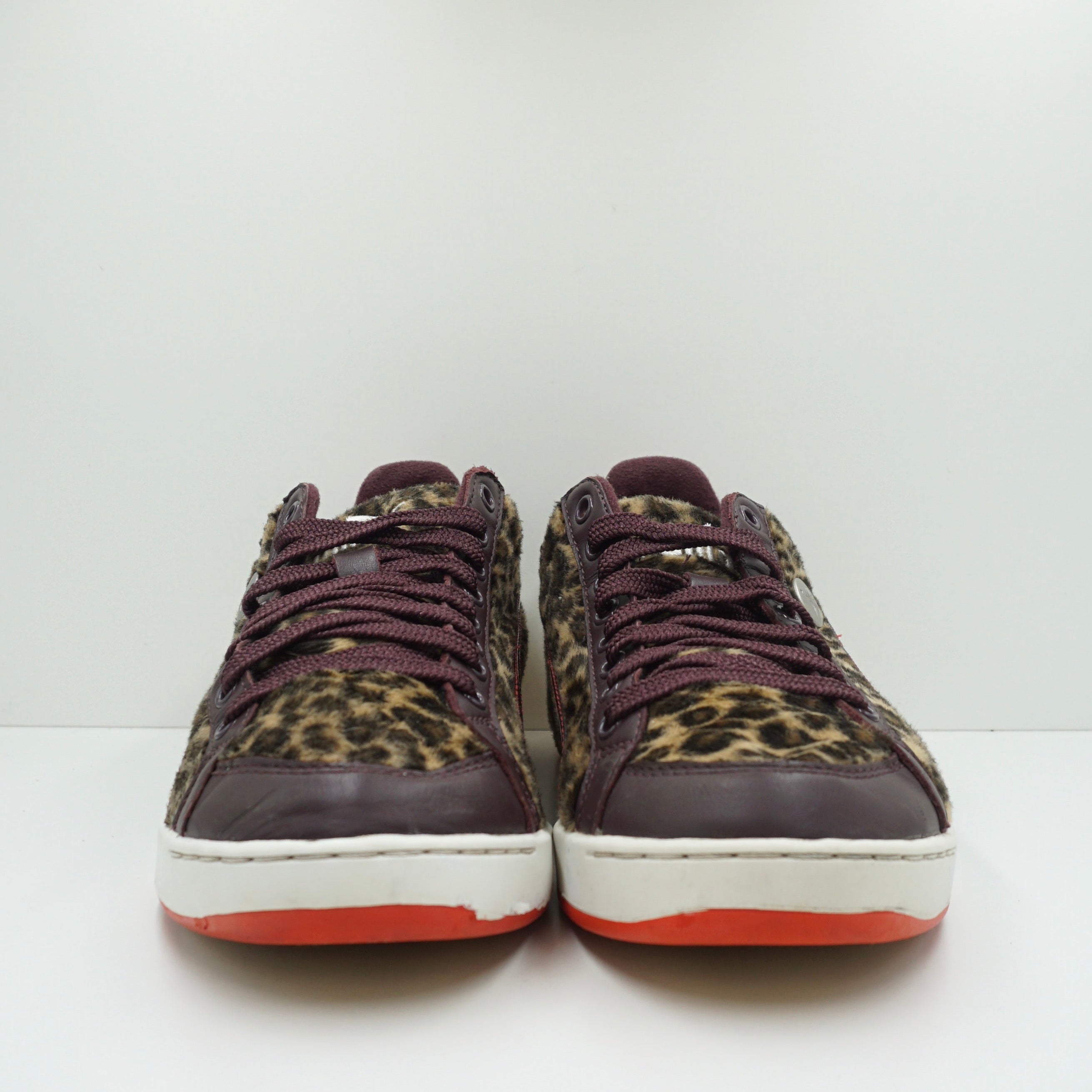 Puma Leopard
