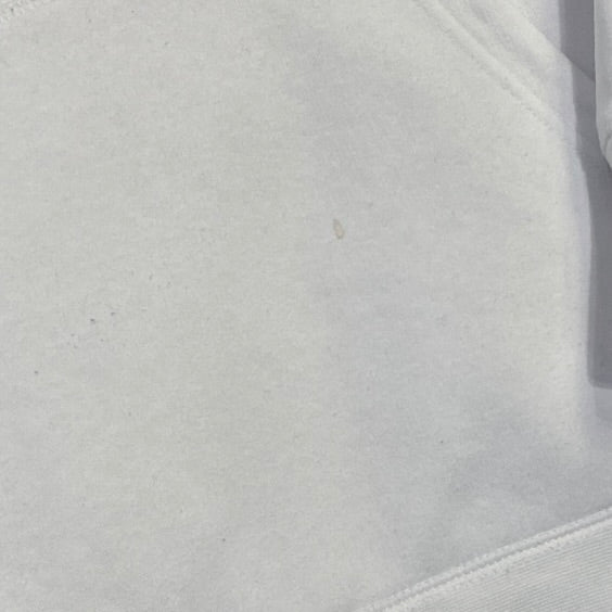 Nike SB Cherry Blossom Hoodie White