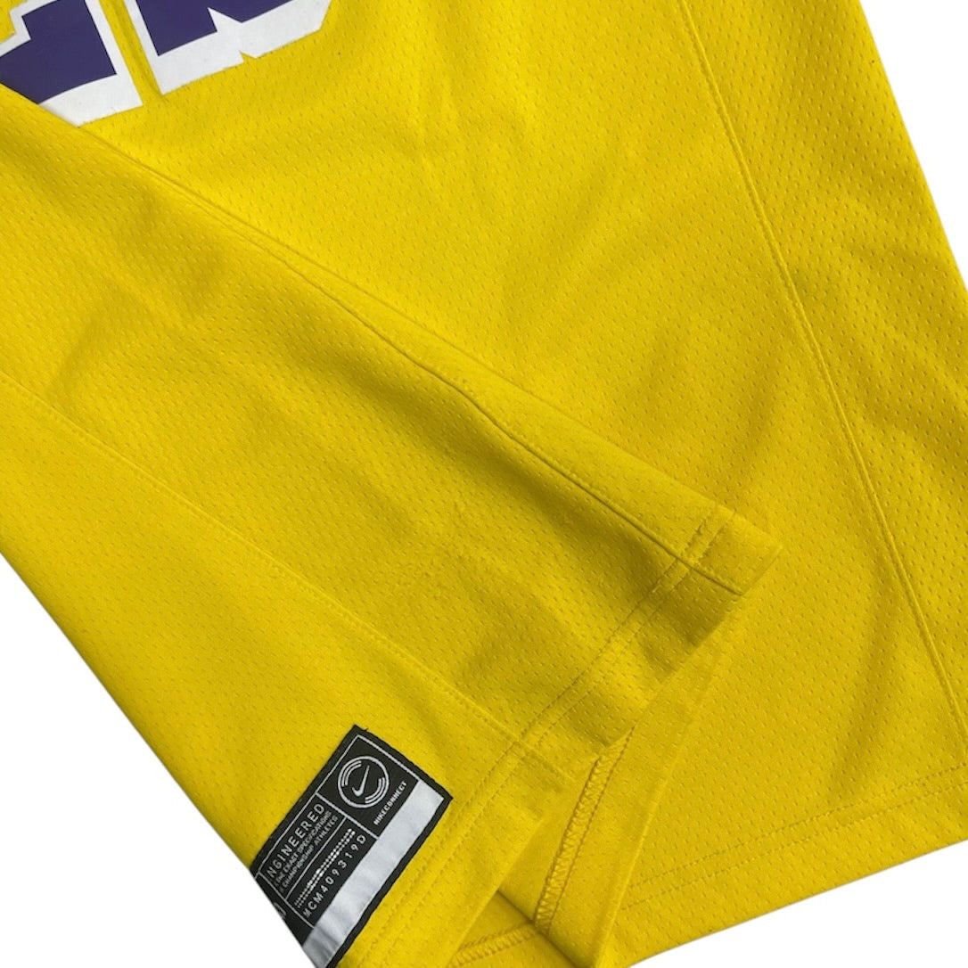 Nike Los Angeles Lakers James #23 Swingman Basketball Jersey
