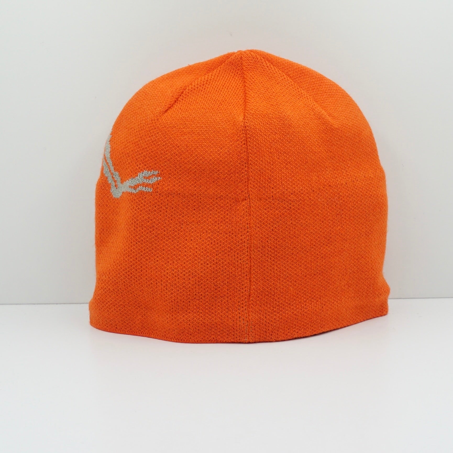 Arc'teryx Bird Head Toque Beanie