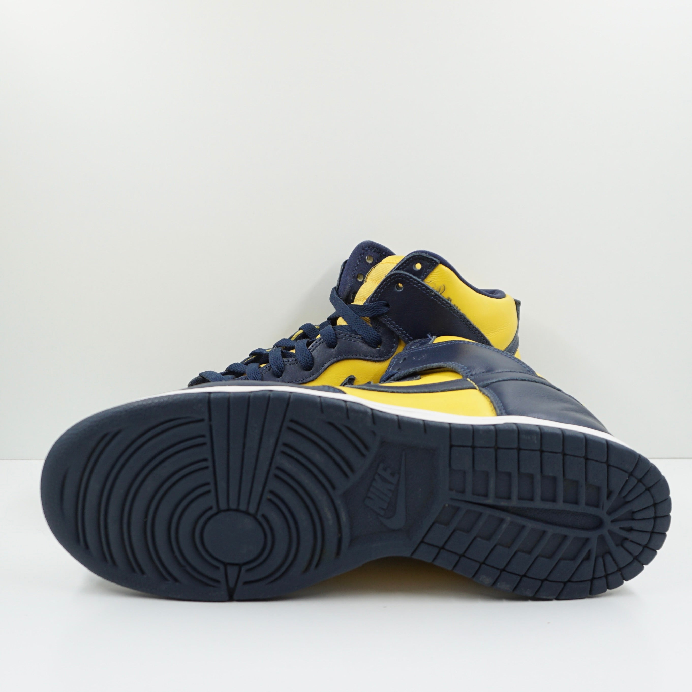 Nike Dunk High Michigan (2020)