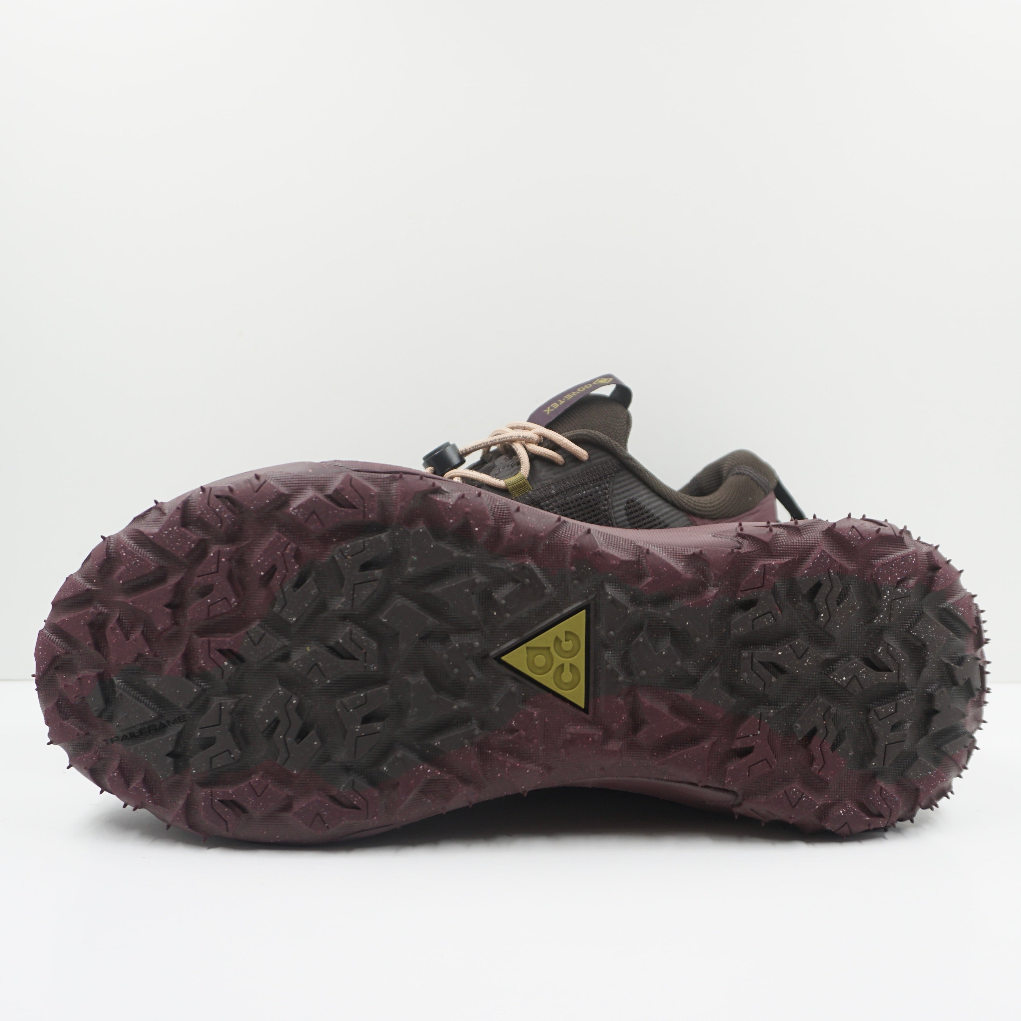 Nike ACG Mountain Fly 2 Low Gore-Tex Velvet Brown