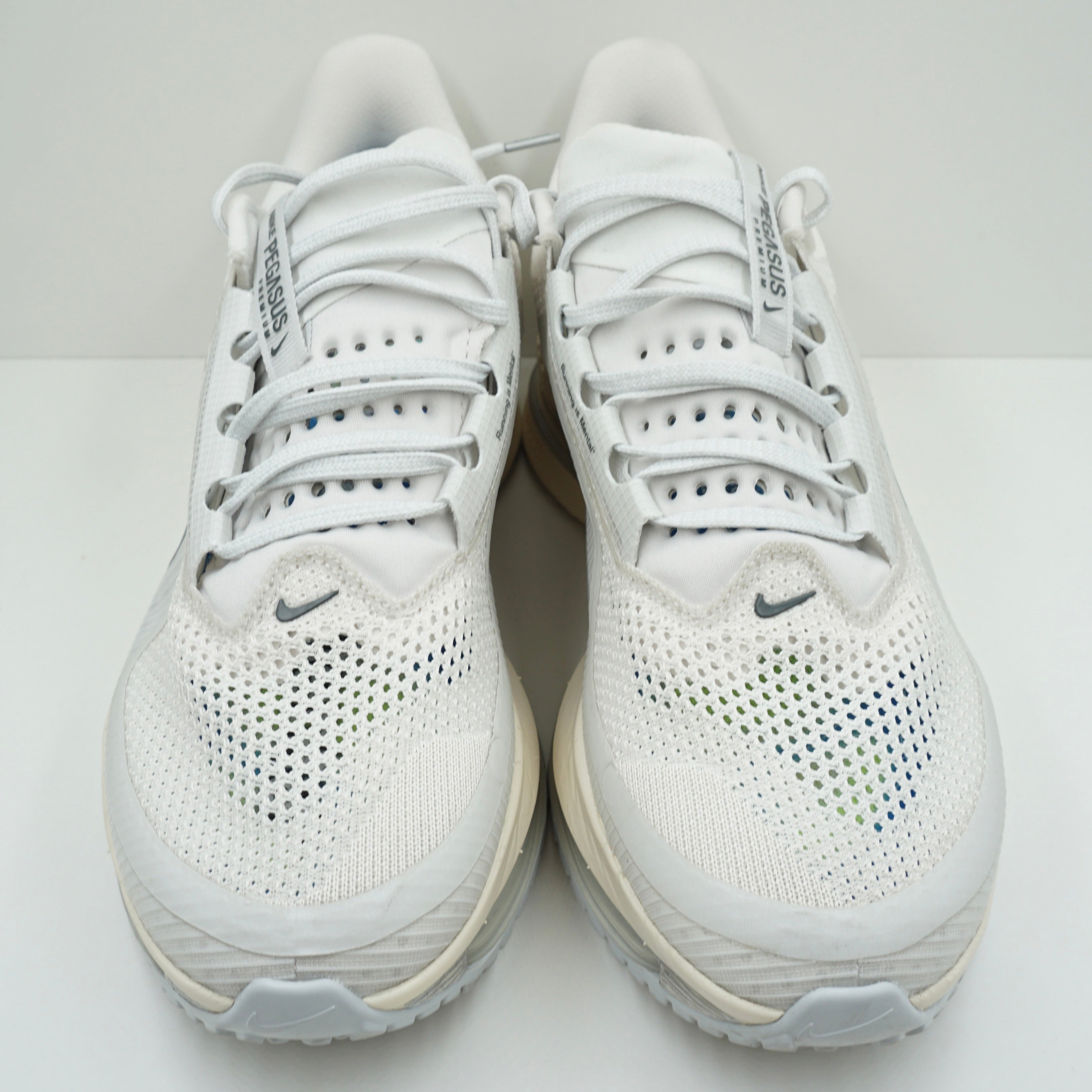 Nike Air Zoom Pegasus Premium Running is Menta