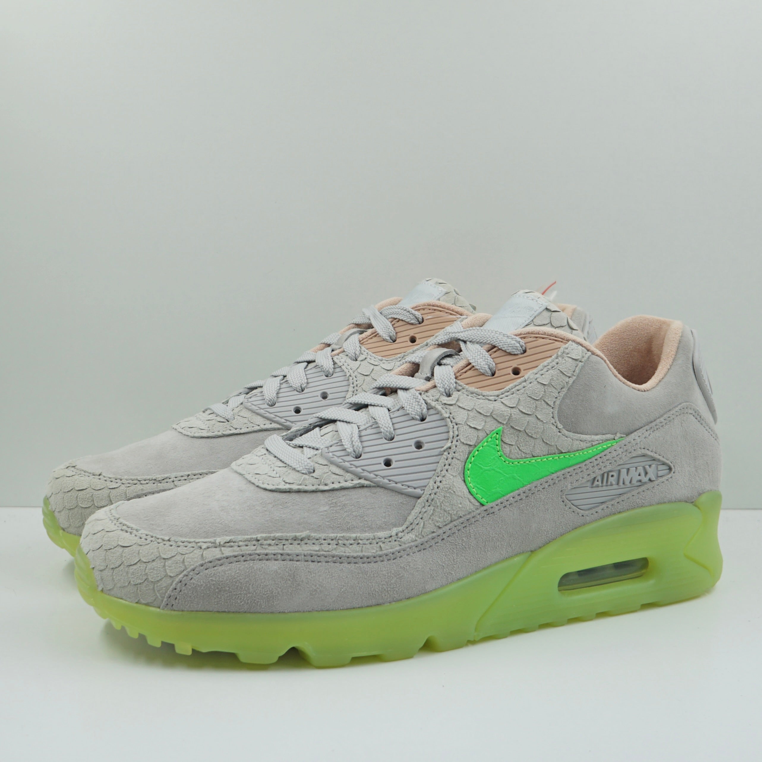 Nike Air Max 90 New Species