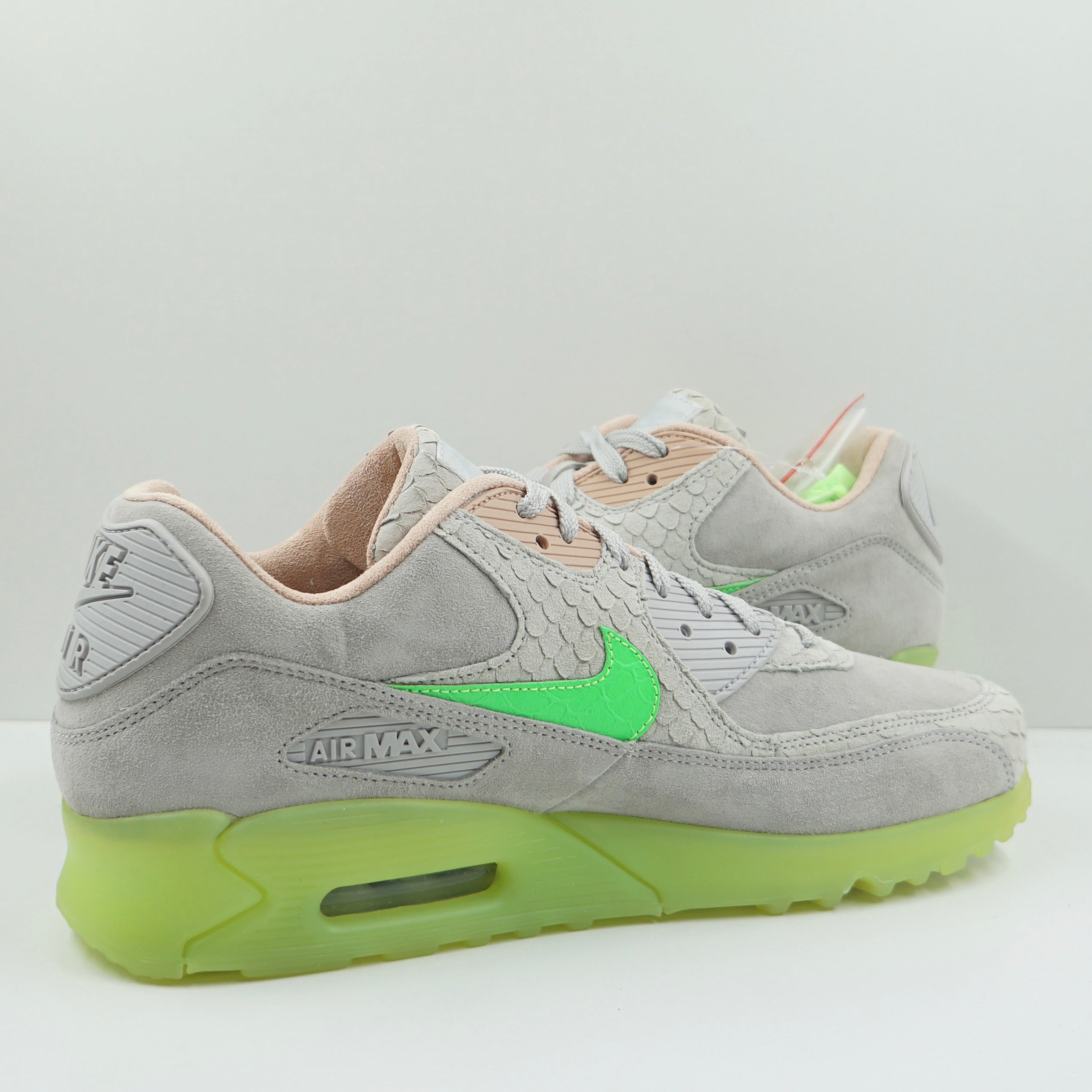 Nike Air Max 90 New Species