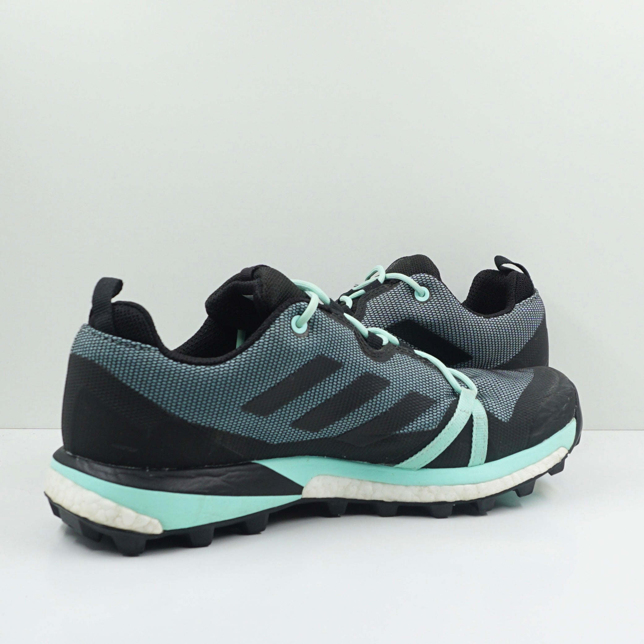 Adidas Terrex Skychaser LT GTX Ash Grey Mint (W)