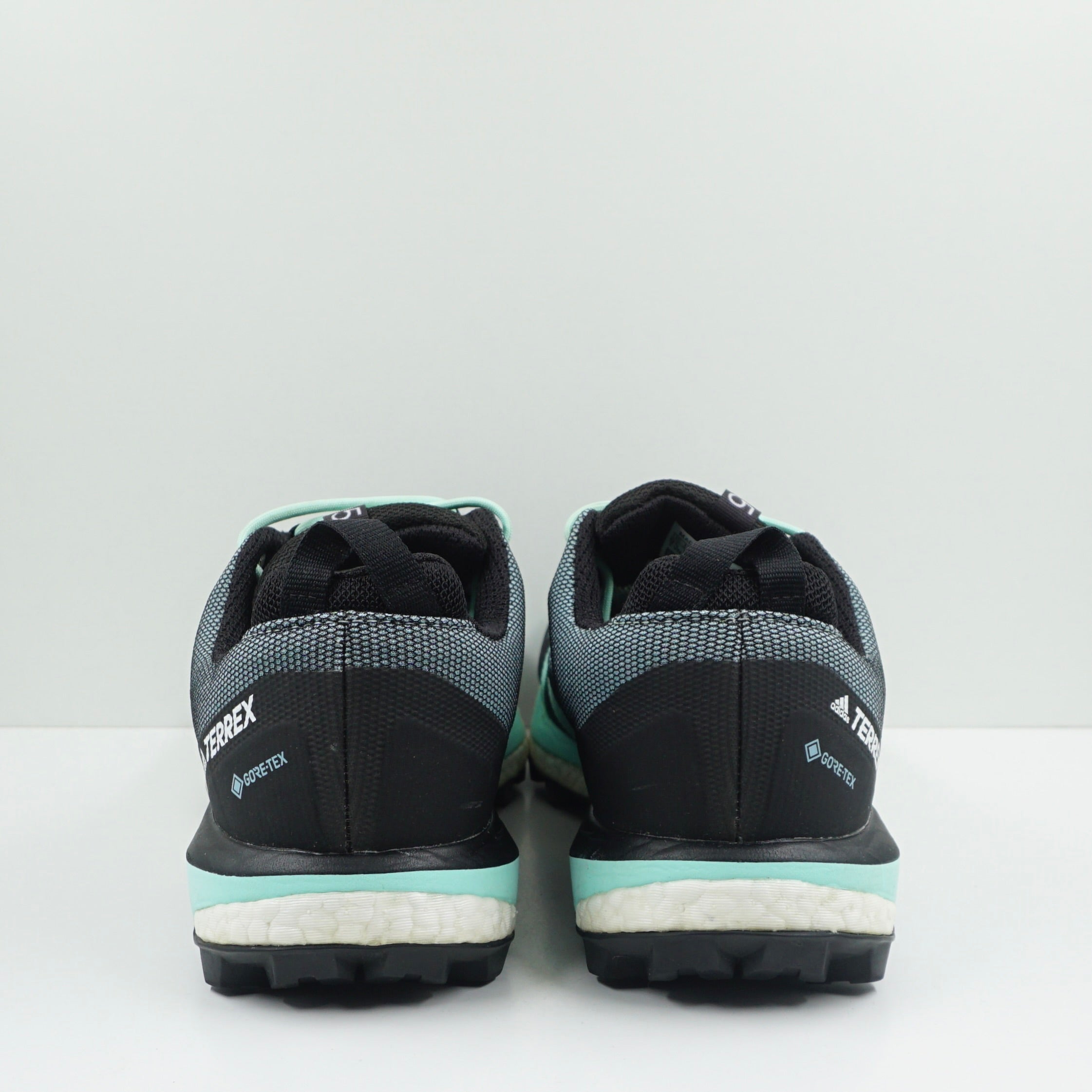 Adidas Terrex Skychaser LT GTX Ash Grey Mint (W)