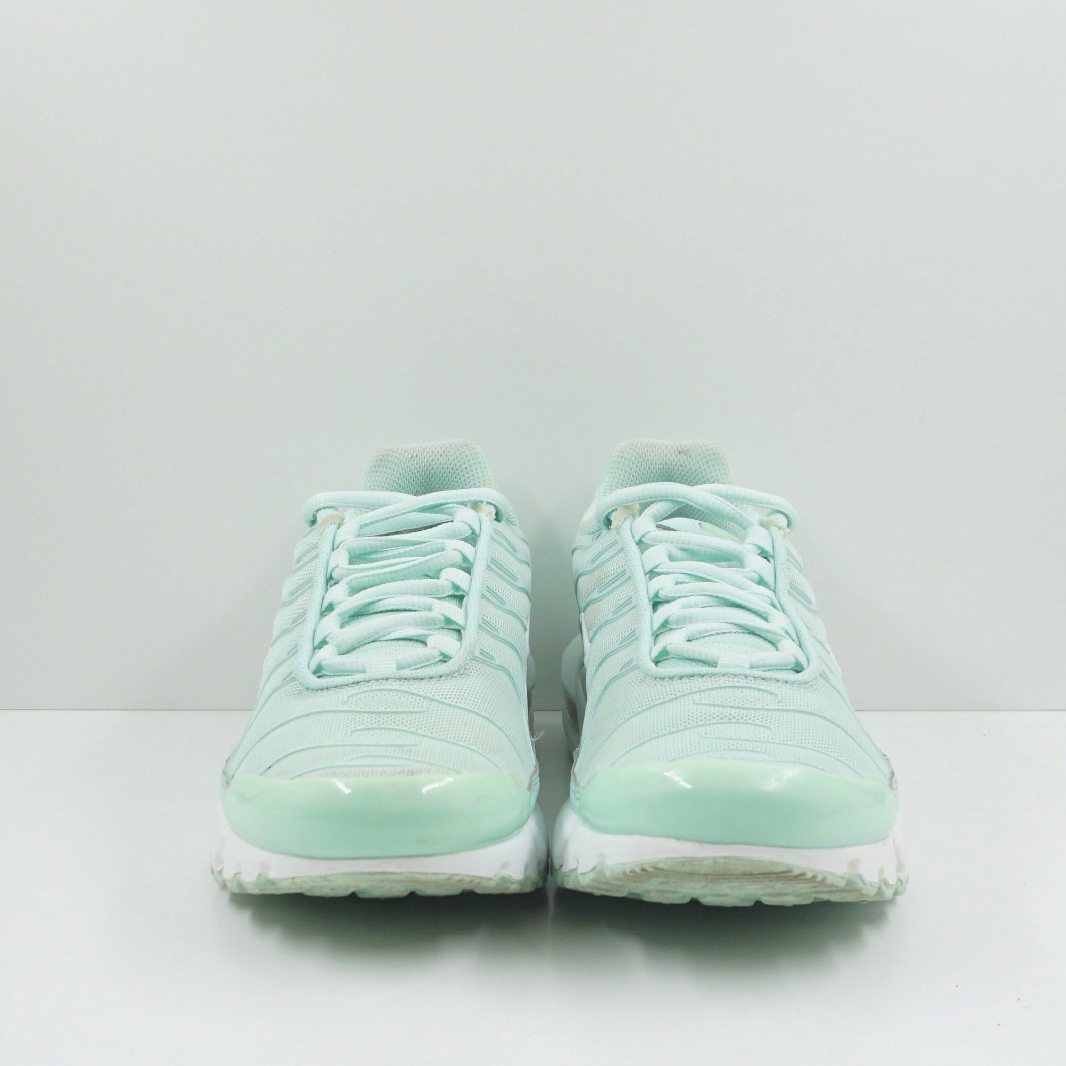 Nike Air Max Plus Igloo (GS)