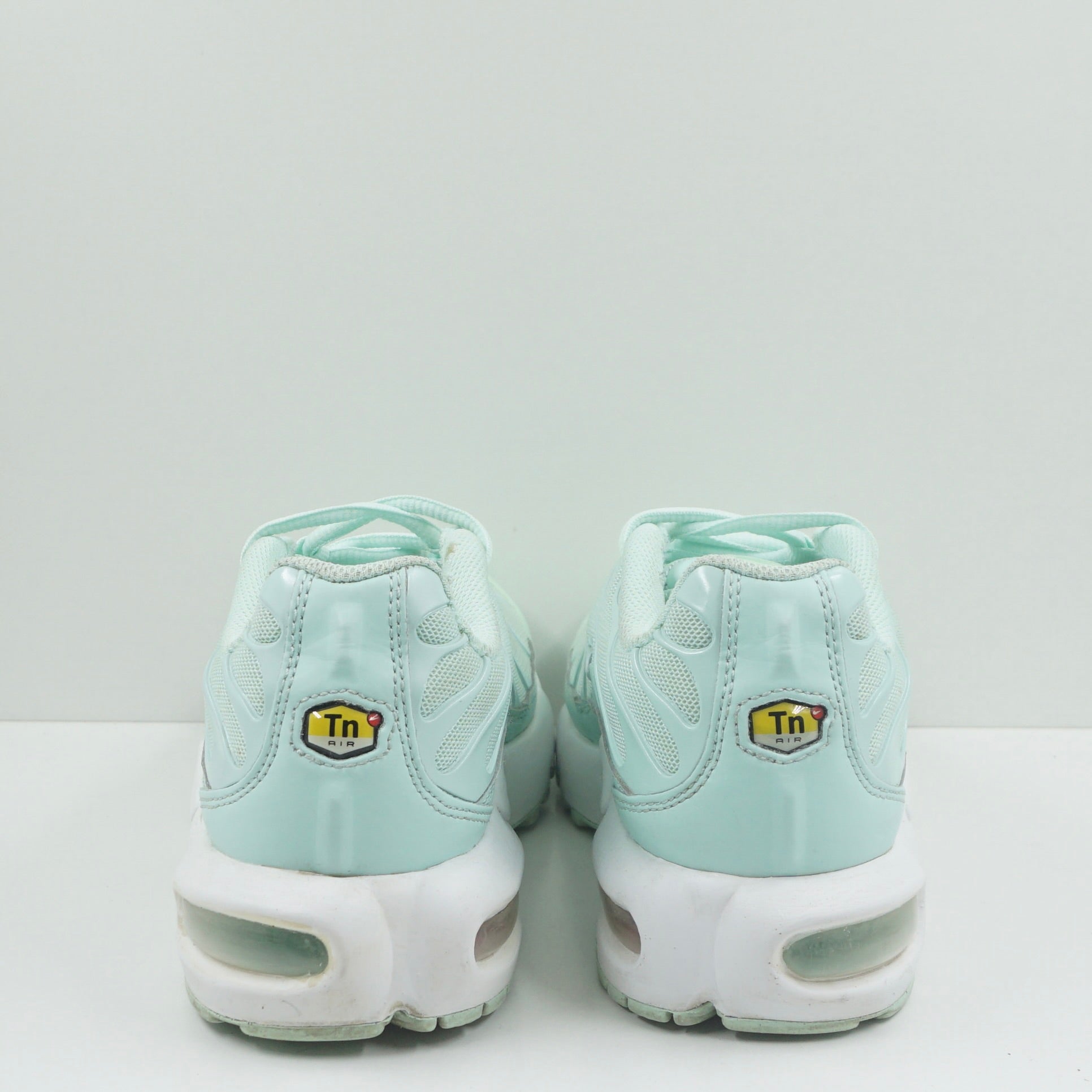 Nike Air Max Plus Igloo (GS)