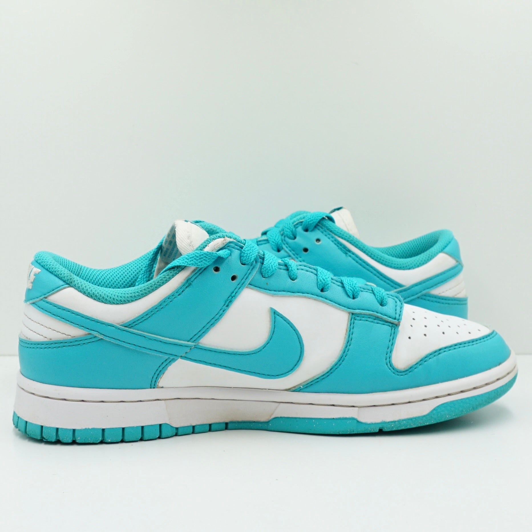 Nike Dunk Low Next Nature Dusty Cactus (W)