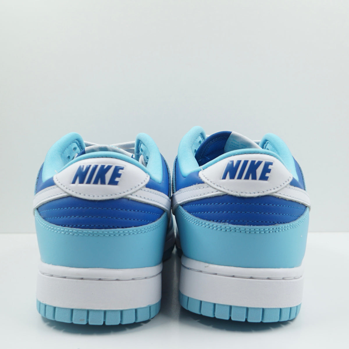 Nike Dunk Low Retro QS Argon (2022)
