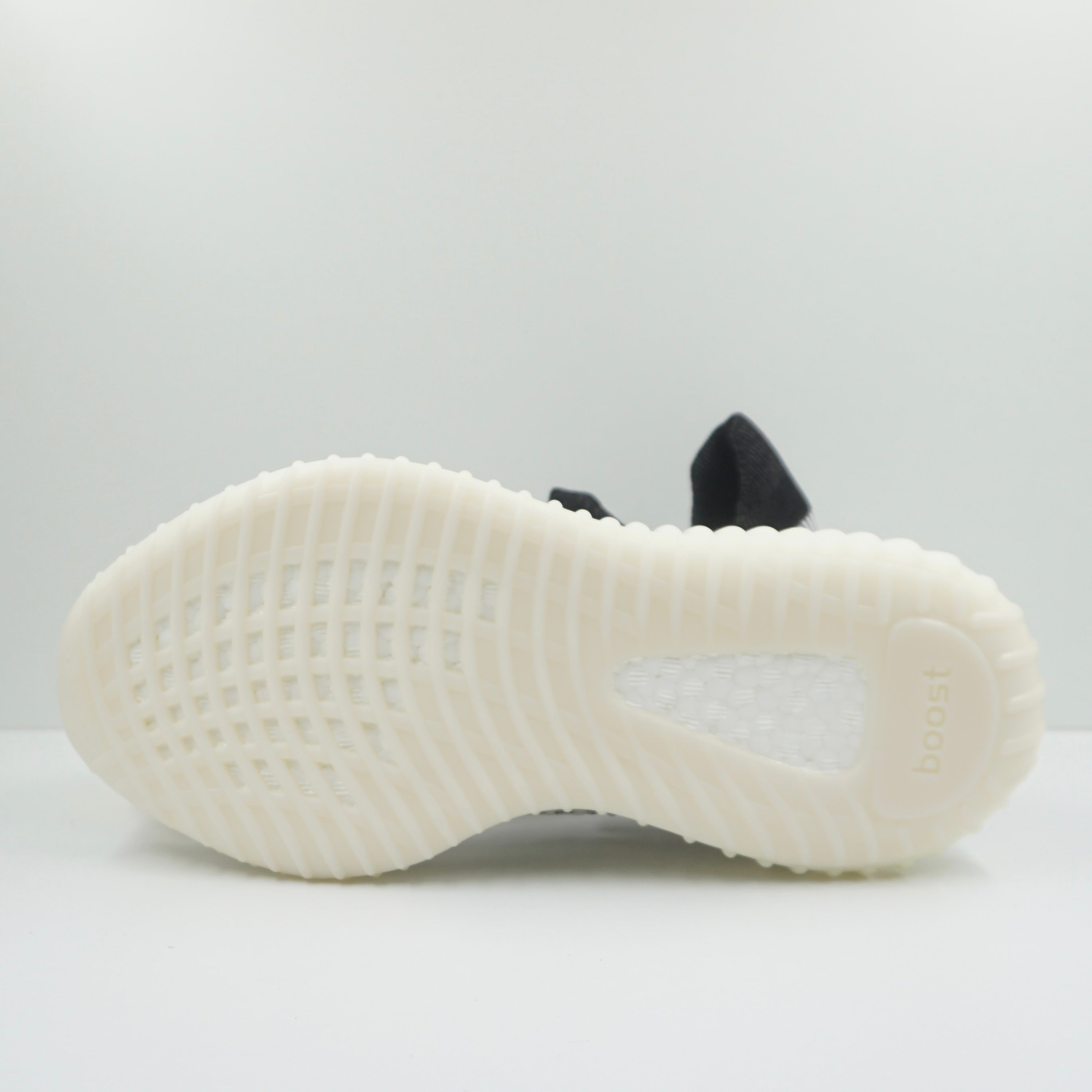 Adidas Yeezy 350 V2 CMPCT Slate Panda